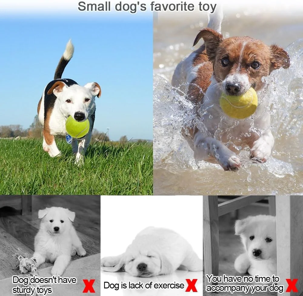 توپ های تنیس Swity Home، بسته های 12/18/24/36 تایی توپ تنیس سایز استاندارد، توپ های آموزشی تنیس برای بزرگسالان، کودکان، تمرین یا بازی با حیوانات خانگی توپ های تنیس Swity Home، بسته های 12/18/24/36 تایی توپ تنیس سایز استاندارد، توپ های آموزشی تنیس برای بزرگسالان، کودکان، تمرین یا بازی با حیوانات خانگی