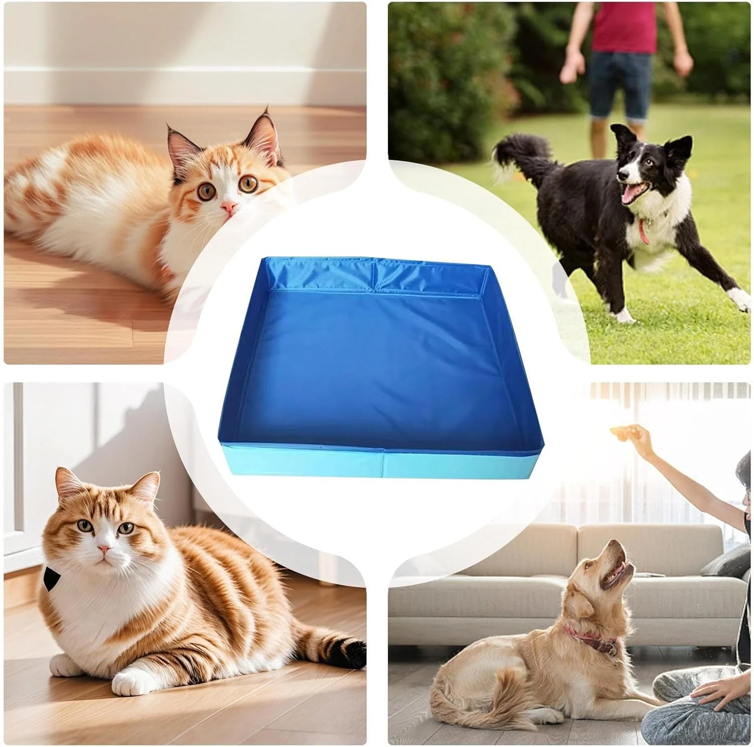 استخر شنا سگ، استخر آب تنی تاشو پی وی سی 50x50x10 سانتی متر برای سگ، استخر شنا برای کودکان، غیر بادی، صرفه جویی در فضا، وان حمام حیوانات خانگی قابل حمل با شکل مربع، ضد نشت و مقاوم در برابر خراش سخت استخر شنا سگ، استخر آب تنی تاشو پی وی سی 50x50x10 سانتی متر برای سگ، استخر شنا برای کودکان، غیر بادی، صرفه جویی در فضا، وان حمام حیوانات خانگی قابل حمل با شکل مربع، ضد نشت و مقاوم در برابر خراش سخت