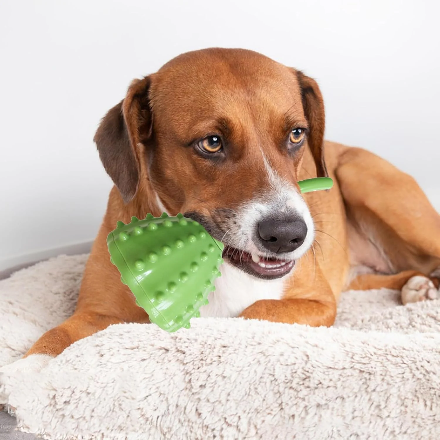 اسباب بازی تشویقی سگ | پازل غذایی سگ، تغذیه آهسته، مسواک لوازم حیوانات خانگی برای پخش غذا، آموزش غنی سازی، ترویج تغذیه آهسته، کاهش استرس، تمیز کردن دندان ها، بازی اسباب بازی تشویقی سگ | پازل غذایی سگ، تغذیه آهسته، مسواک لوازم حیوانات خانگی برای پخش غذا، آموزش غنی سازی، ترویج تغذیه آهسته، کاهش استرس، تمیز کردن دندان ها، بازی