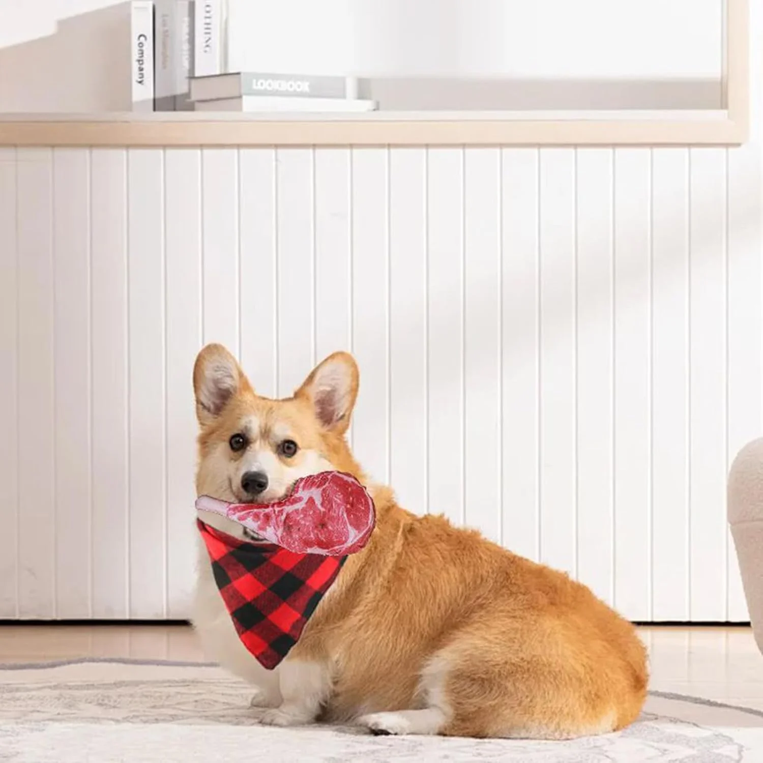 اسباب بازی جویدنی سوت دار برای سگ، عروسک سوت دار تعاملی برای توله سگ | اسباب بازی های جویدنی چند منظوره برای بازی fetch حیوانات خانگی در حیاط، حیاط خلوت و خانه اسباب بازی جویدنی سوت دار برای سگ، عروسک سوت دار تعاملی برای توله سگ | اسباب بازی های جویدنی چند منظوره برای بازی fetch حیوانات خانگی در حیاط، حیاط خلوت و خانه