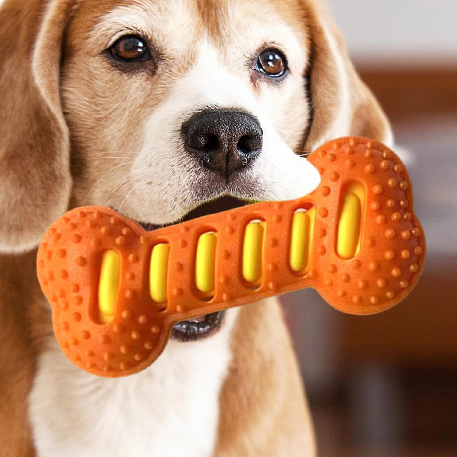 اسباب بازی سگ جیرجیر کننده | استخوان اسباب بازی سگ، حیوان خانگی را مشغول نگه می دارد، بازی سرگرم کننده آرامش بخش برای دندان درآوردن، جویدن، بازی تعاملی، آموزش، پاداش، رفع خستگی