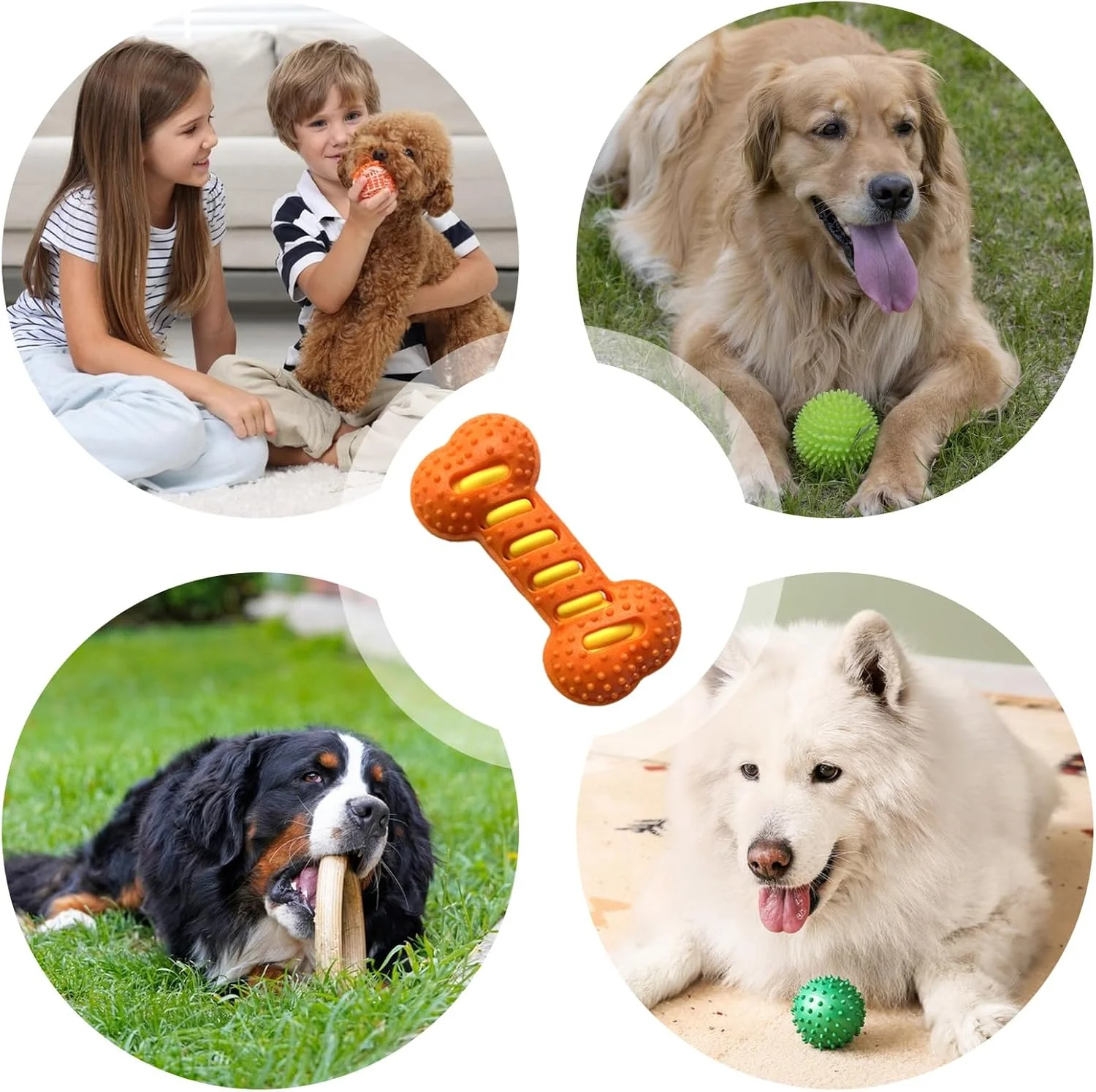 اسباب بازی سگ جیرجیر کننده | استخوان اسباب بازی سگ، حیوان خانگی را مشغول نگه می دارد، بازی سرگرم کننده آرامش بخش برای دندان درآوردن، جویدن، بازی تعاملی، آموزش، پاداش، رفع خستگی