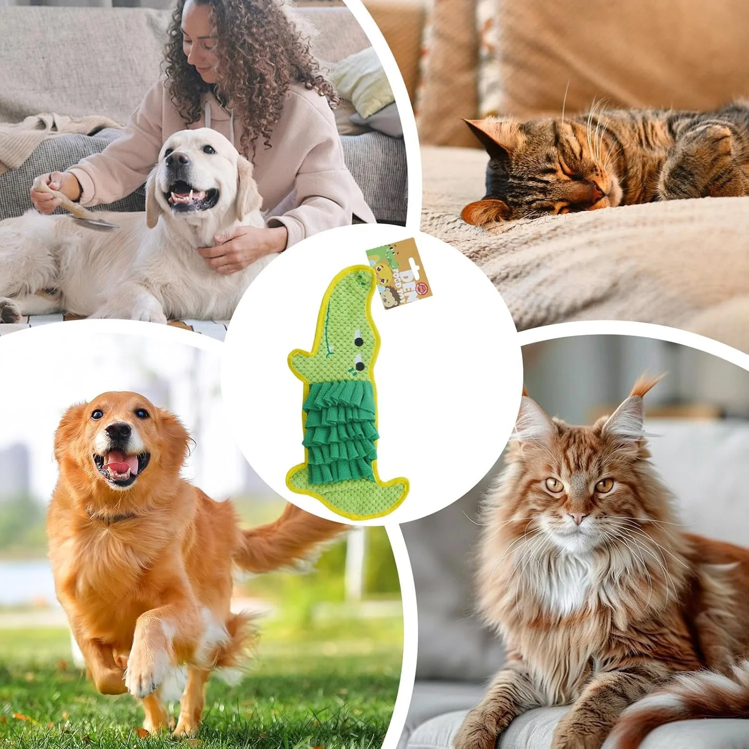 پد بویایی سگ | پد تغذیه آهسته حیوانات خانگی، اسباب بازی سبک وزن برای کندوکاو تشویقی، لوازم جانبی تعاملی حیوانات خانگی برای تحریک ذهنی توله سگ های کوچک، متوسط و بزرگ پد بویایی سگ | پد تغذیه آهسته حیوانات خانگی، اسباب بازی سبک وزن برای کندوکاو تشویقی، لوازم جانبی تعاملی حیوانات خانگی برای تحریک ذهنی توله سگ های کوچک، متوسط و بزرگ