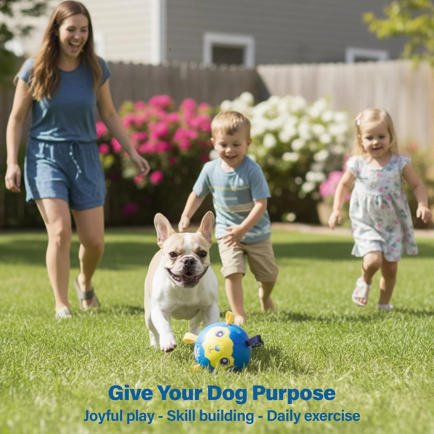 توپ فوتبال نشاط آور 6 اینچی Race&Herd برای سگ ها - توپ بازی سگ بادوام و مقاوم با بند، توپ های پرشی گله ای برای سگ ها، توپ های شناور سگ با برچسب برای بازی آب (BaaBaaBall، بره کوچک)