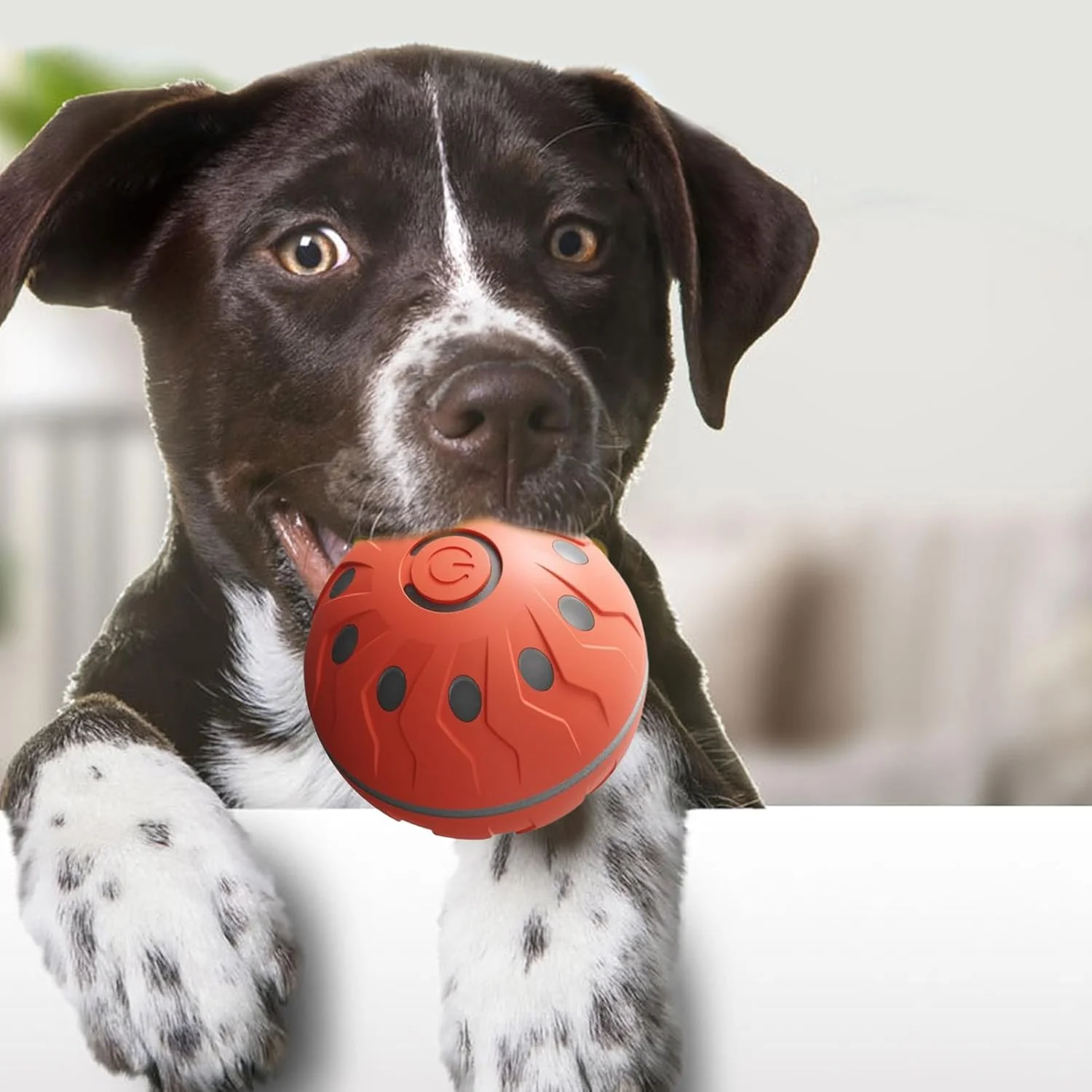 توپ متحرک سگ، توپ هوشمند حیوانات خانگی، اسباب بازی متحرک سگ، لوازم حیوانات خانگی غلتکی قابل شارژ برای دندان درآوردن نژادهای کوچک و بزرگ، جویدن تهاجمی، تمرین و غنی سازی