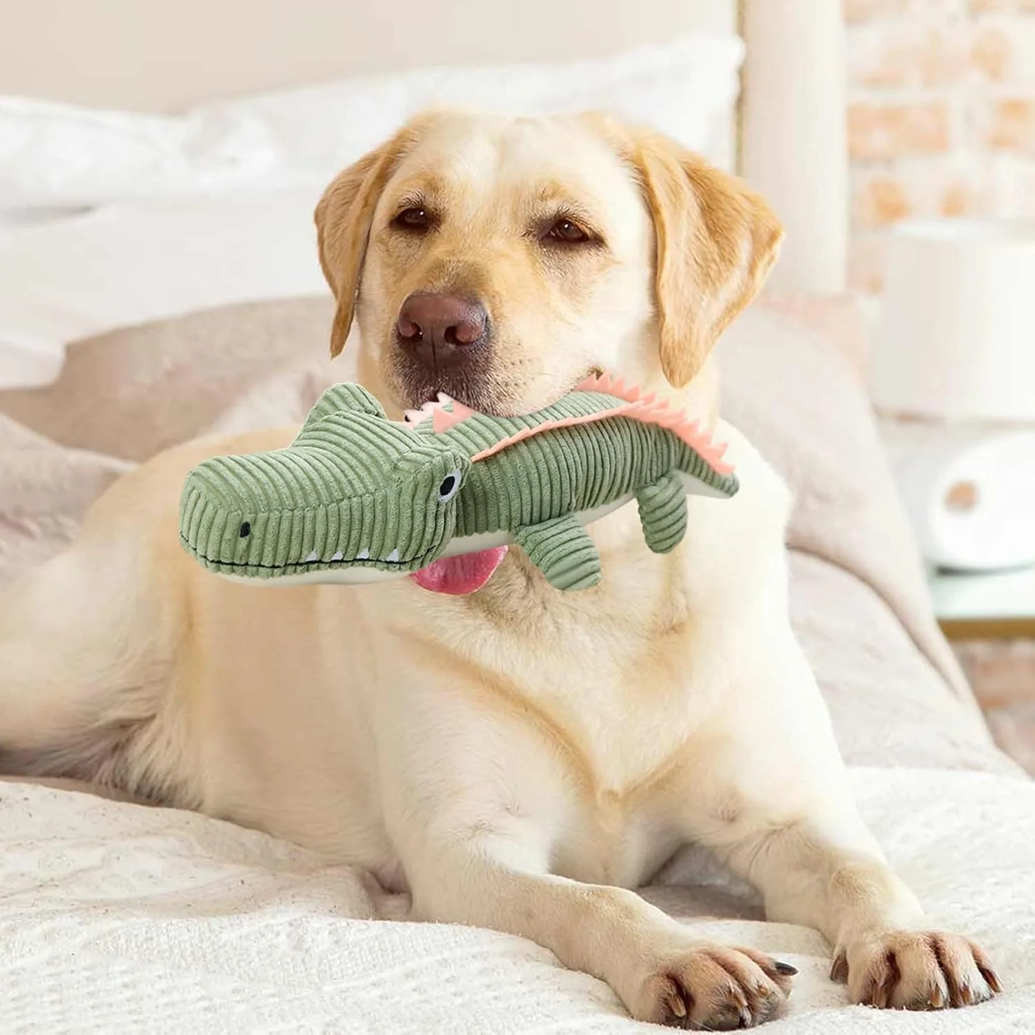 اسباب بازی سگ پولیشی - اسباب بازی های پولیشی نرم تمساح زیبا برای توله سگ، لوازم جانبی دندان درآوردن حیوانات خانگی نرم و تعاملی برای سگ های کوچک، متوسط و بزرگ اسباب بازی سگ پولیشی - اسباب بازی های پولیشی نرم تمساح زیبا برای توله سگ، لوازم جانبی دندان درآوردن حیوانات خانگی نرم و تعاملی برای سگ های کوچک، متوسط و بزرگ