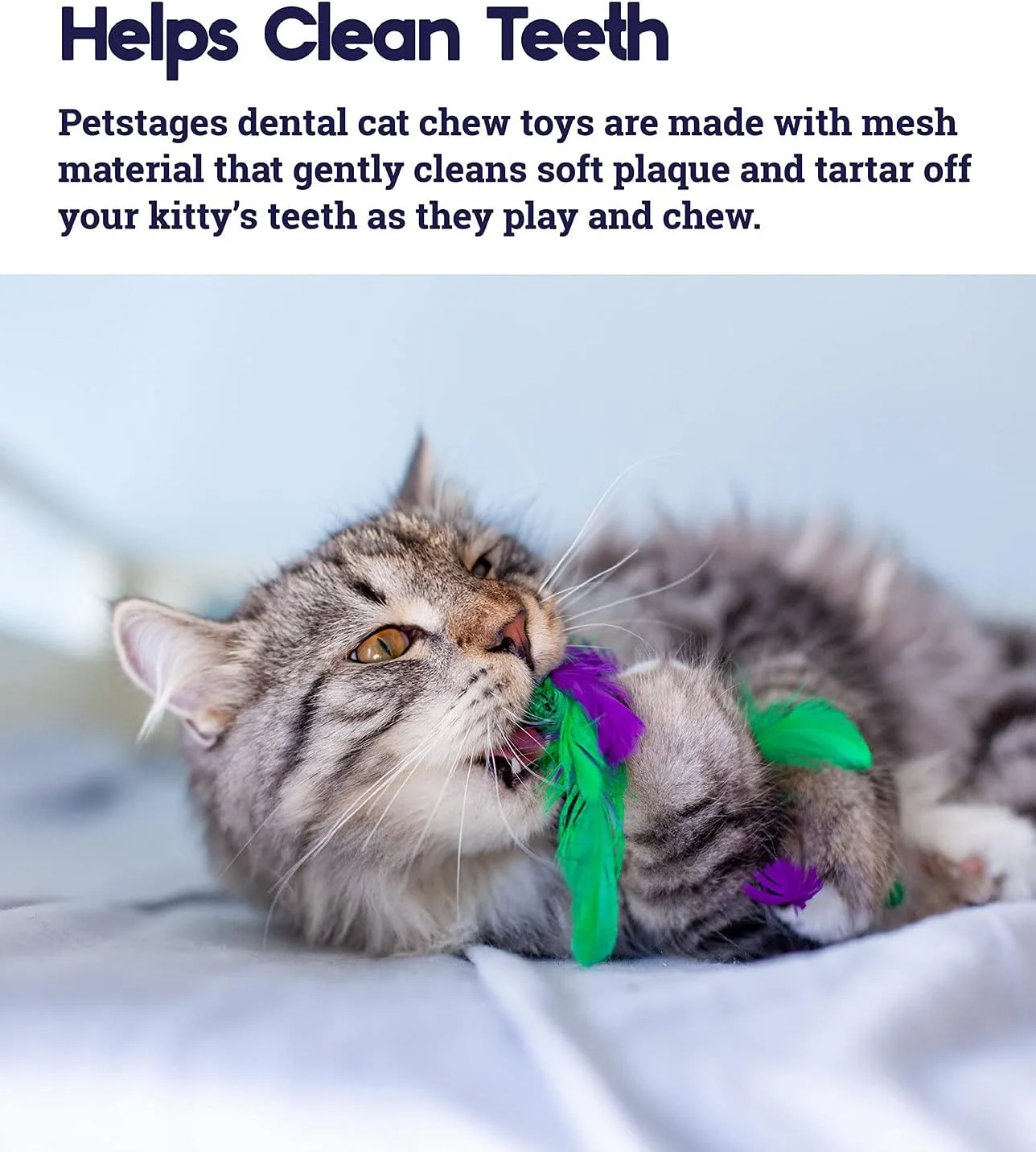 اسباب بازی جویدنی گربه پت استیجز طرح کلم پیچ اسباب بازی جویدنی گربه پت استیجز طرح کلم پیچ