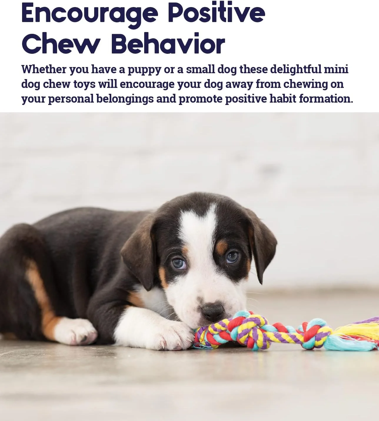 پت استیجیز (مینی) - اسباب بازی های جویدنی دندانی برای تمیز کردن دندان سگ های کوچک، اسباب بازی های جویدنی سگ پت استیجیز (مینی) - اسباب بازی های جویدنی دندانی برای تمیز کردن دندان سگ های کوچک، اسباب بازی های جویدنی سگ