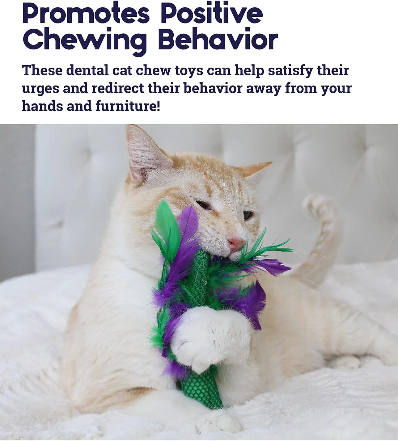 اسباب بازی جویدنی گربه پت استیجز طرح کلم پیچ اسباب بازی جویدنی گربه پت استیجز طرح کلم پیچ