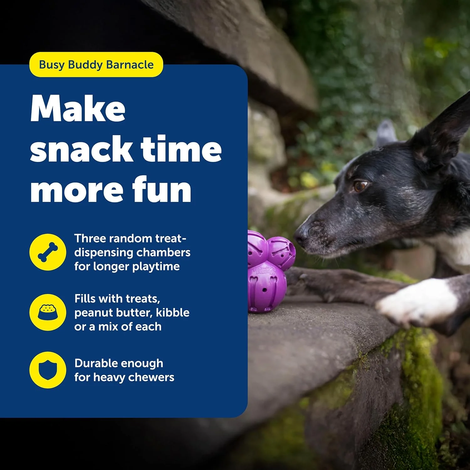 اسباب بازی جویدنی سگ PetSafe Busy Buddy Barnacle - اسباب بازی های پخش کننده تشویقی سگ اسباب بازی جویدنی سگ PetSafe Busy Buddy Barnacle - اسباب بازی های پخش کننده تشویقی سگ