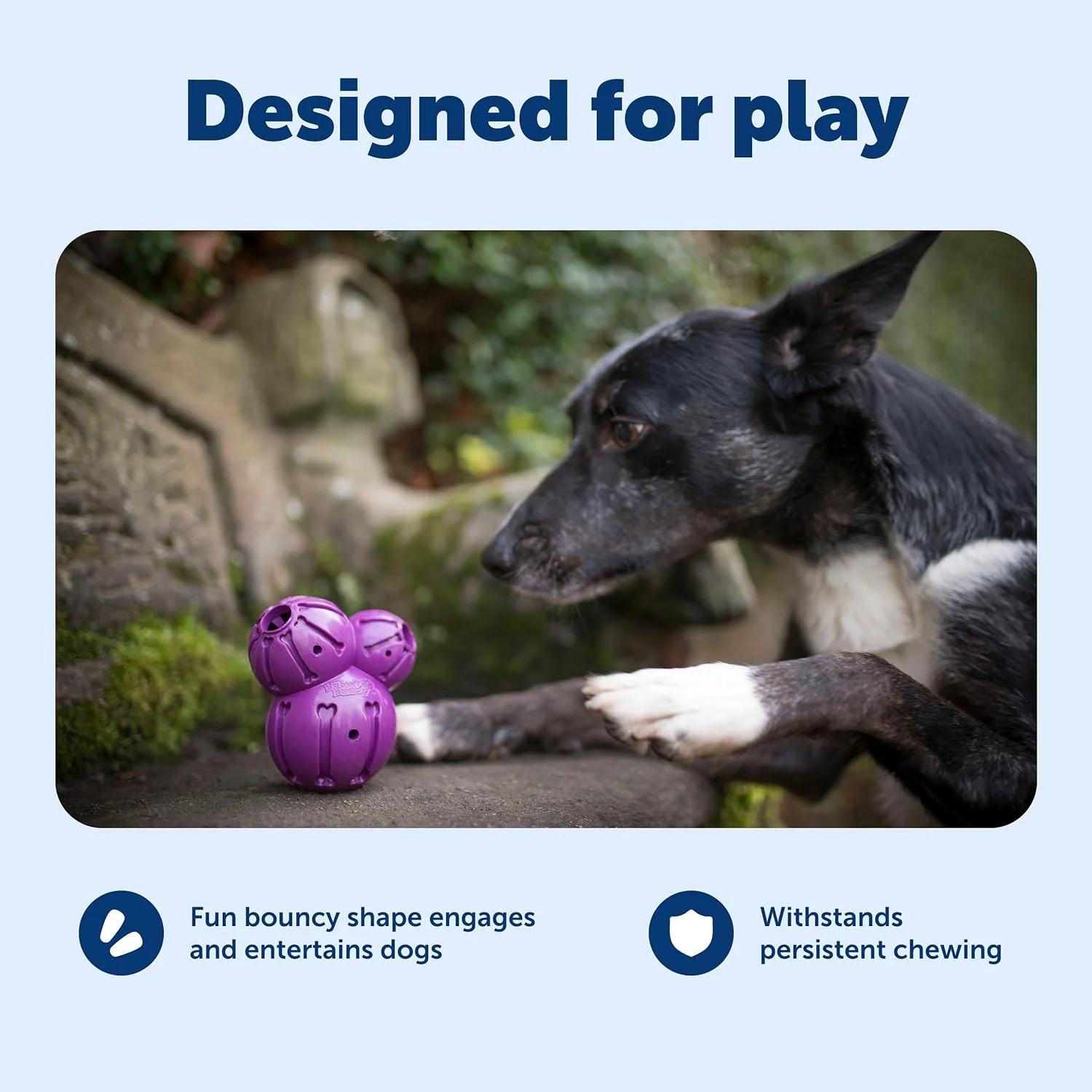 اسباب بازی جویدنی سگ PetSafe Busy Buddy Barnacle - اسباب بازی های پخش کننده تشویقی سگ اسباب بازی جویدنی سگ PetSafe Busy Buddy Barnacle - اسباب بازی های پخش کننده تشویقی سگ