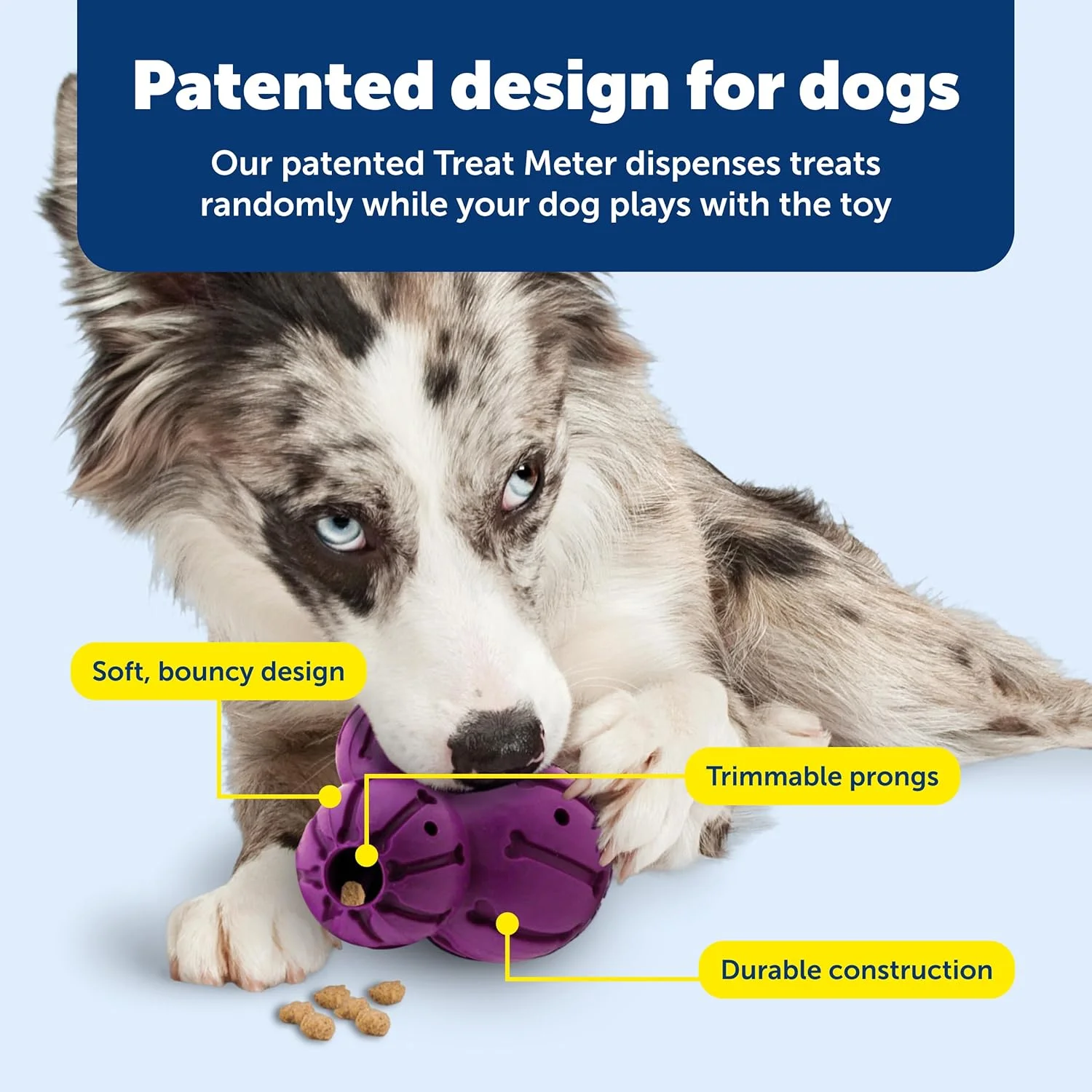 اسباب بازی جویدنی سگ PetSafe Busy Buddy Barnacle - اسباب بازی های پخش کننده تشویقی سگ اسباب بازی جویدنی سگ PetSafe Busy Buddy Barnacle - اسباب بازی های پخش کننده تشویقی سگ