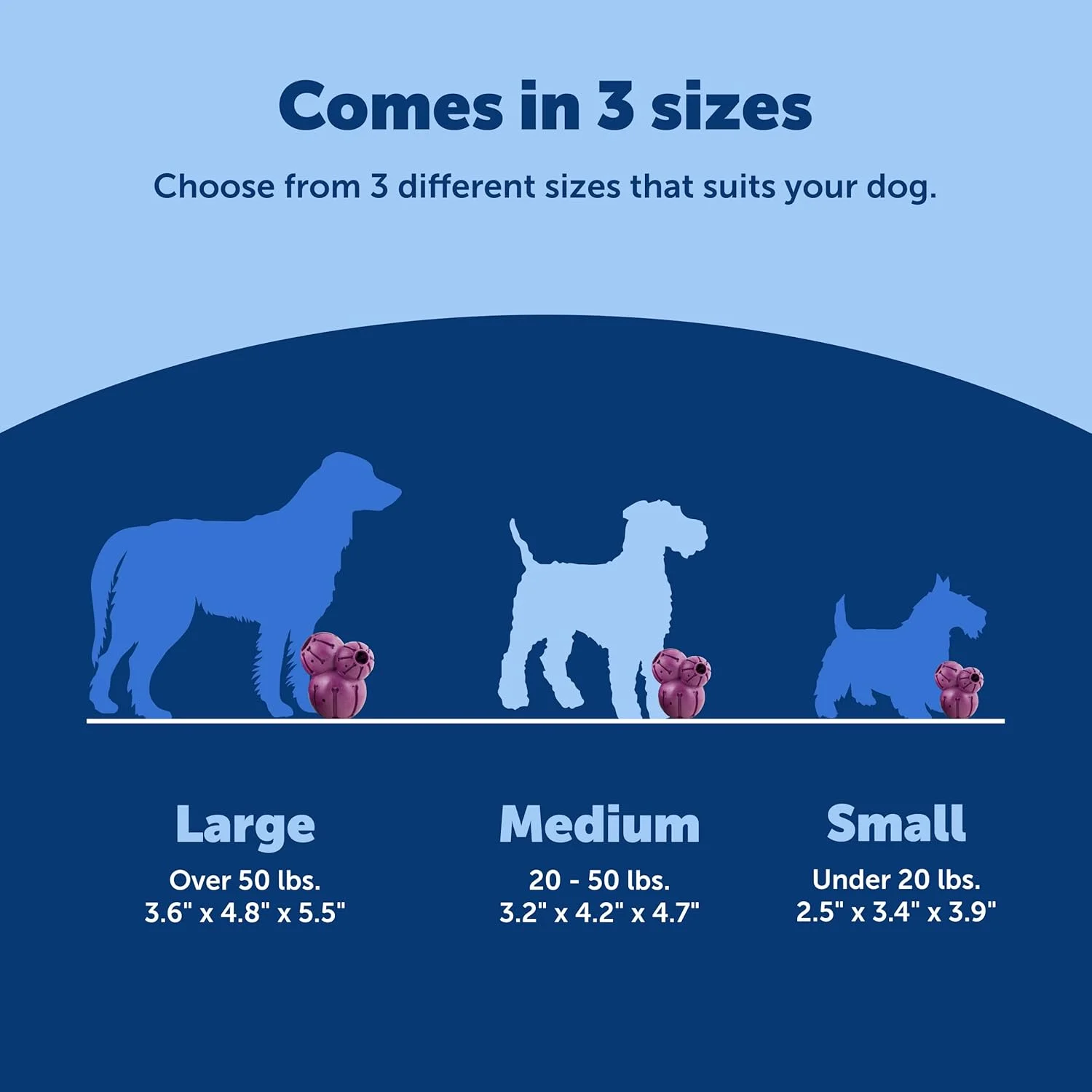 اسباب بازی جویدنی سگ PetSafe Busy Buddy Barnacle - اسباب بازی های پخش کننده تشویقی سگ اسباب بازی جویدنی سگ PetSafe Busy Buddy Barnacle - اسباب بازی های پخش کننده تشویقی سگ