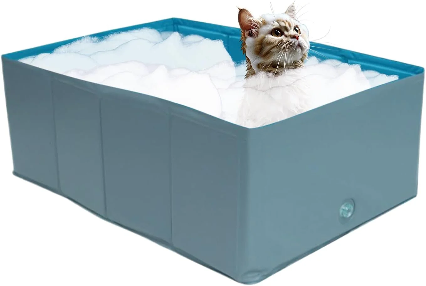 استخر حمام حیوانات خانگی - استخر آب تنی برای توله سگ | اسباب بازی پدینگ بازی با آب برای توله سگ برای خنک کردن در تابستان باغ فضای باز ساحل حیاط خلوت کودکان استخر حمام حیوانات خانگی - استخر آب تنی برای توله سگ | اسباب بازی پدینگ بازی با آب برای توله سگ برای خنک کردن در تابستان باغ فضای باز ساحل حیاط خلوت کودکان