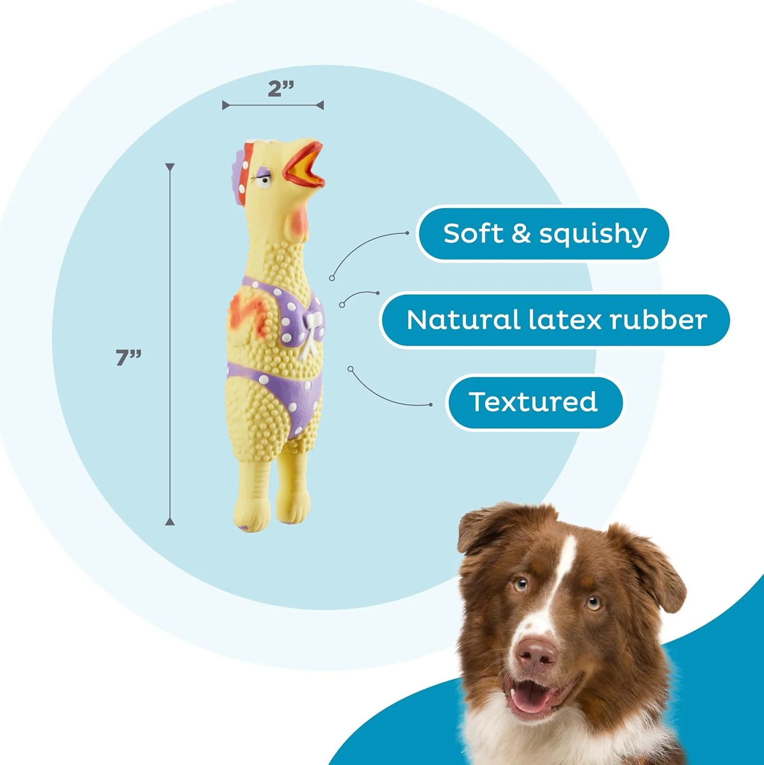 اسباب بازی سگ مرغ لاستیکی لاتکس تعاملی Outward Hound by Charming Pet Squawkers Henrietta، سایز کوچک