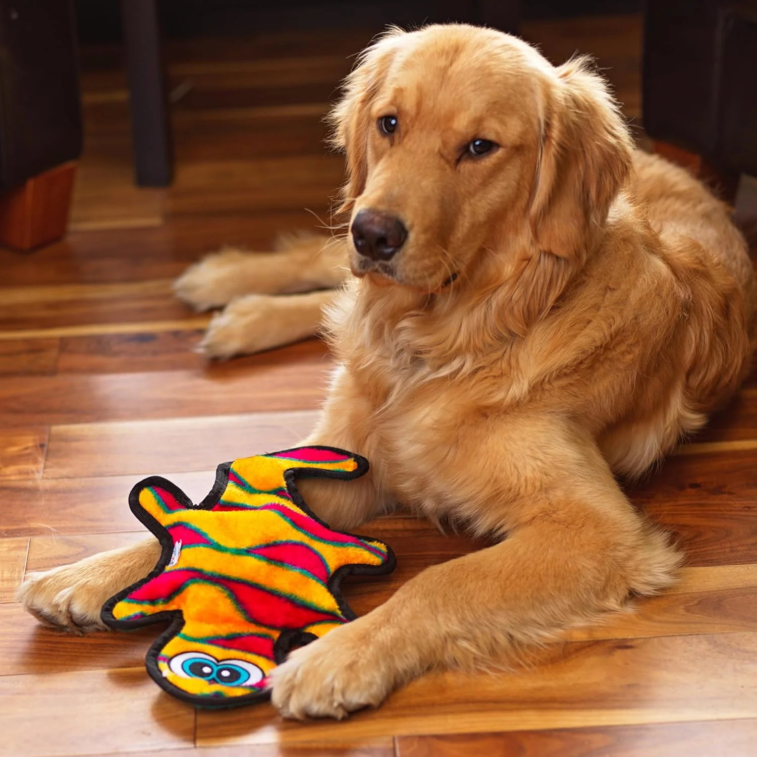 اسباب بازی سگ پولیشی آفتاب‌پرست نارنجی Outward Hound Invincibles، سایز متوسط