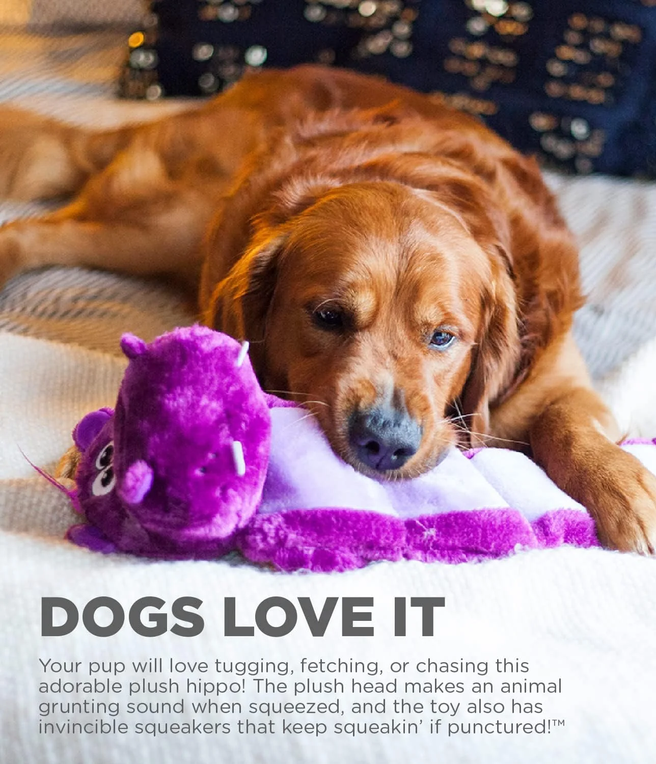 اسباب بازی سگ پولیشی Outward Hound Squeaker Palz Invincibles، 5 عدد صدای جیر جیر، طرح اسب آبی