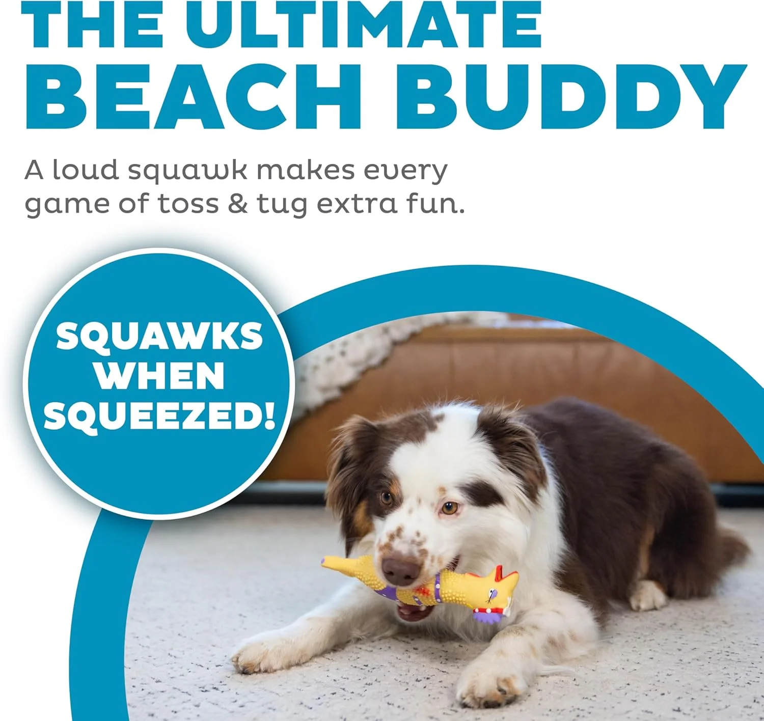 اسباب بازی سگ مرغ لاستیکی لاتکس Outward Hound by Charming Pet Squawkers Henrietta، سایز کوچک اسباب بازی سگ مرغ لاستیکی لاتکس Outward Hound by Charming Pet Squawkers Henrietta، سایز کوچک