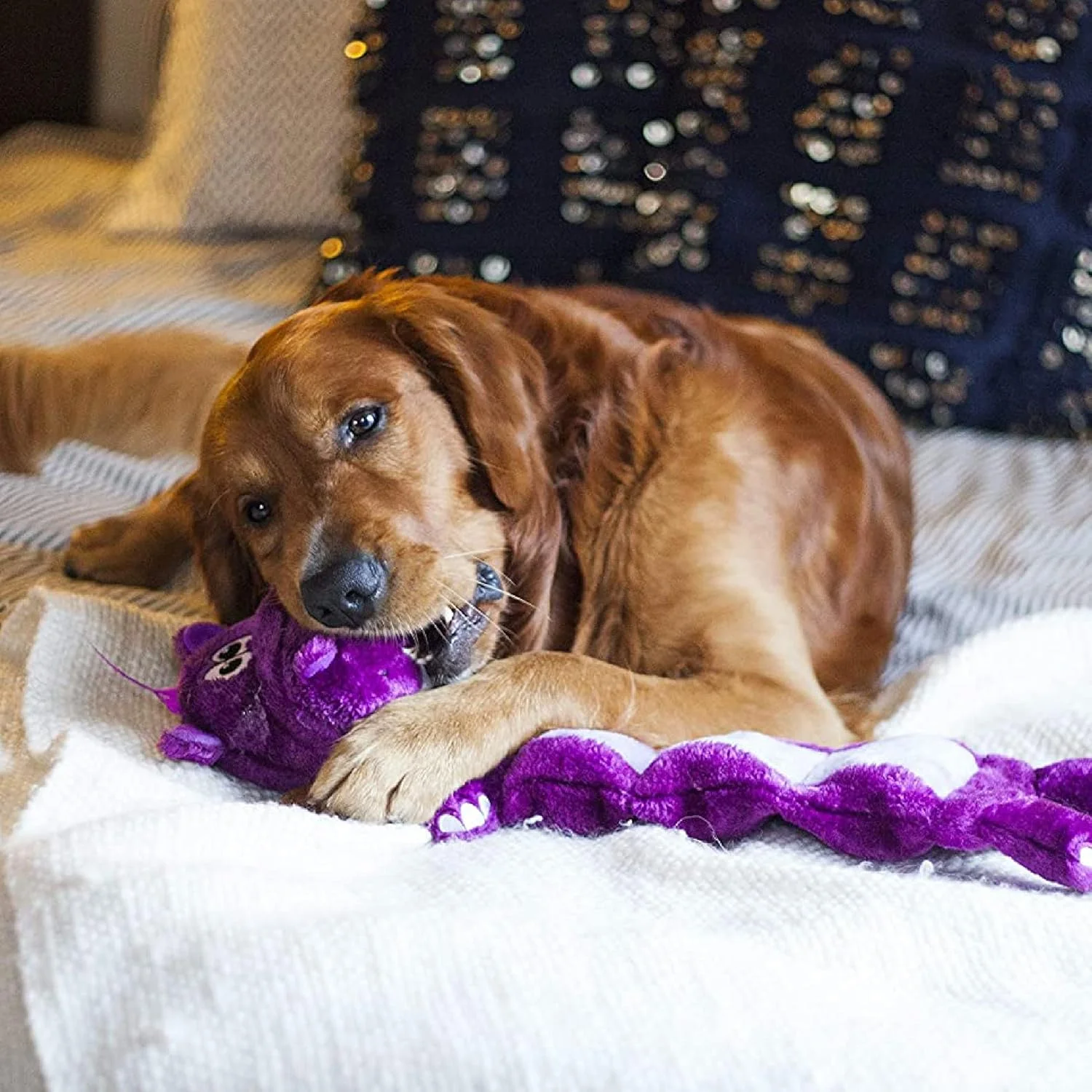 اسباب بازی سگ پولیشی Outward Hound Squeaker Palz Invincibles، 5 عدد صدای جیر جیر، طرح اسب آبی