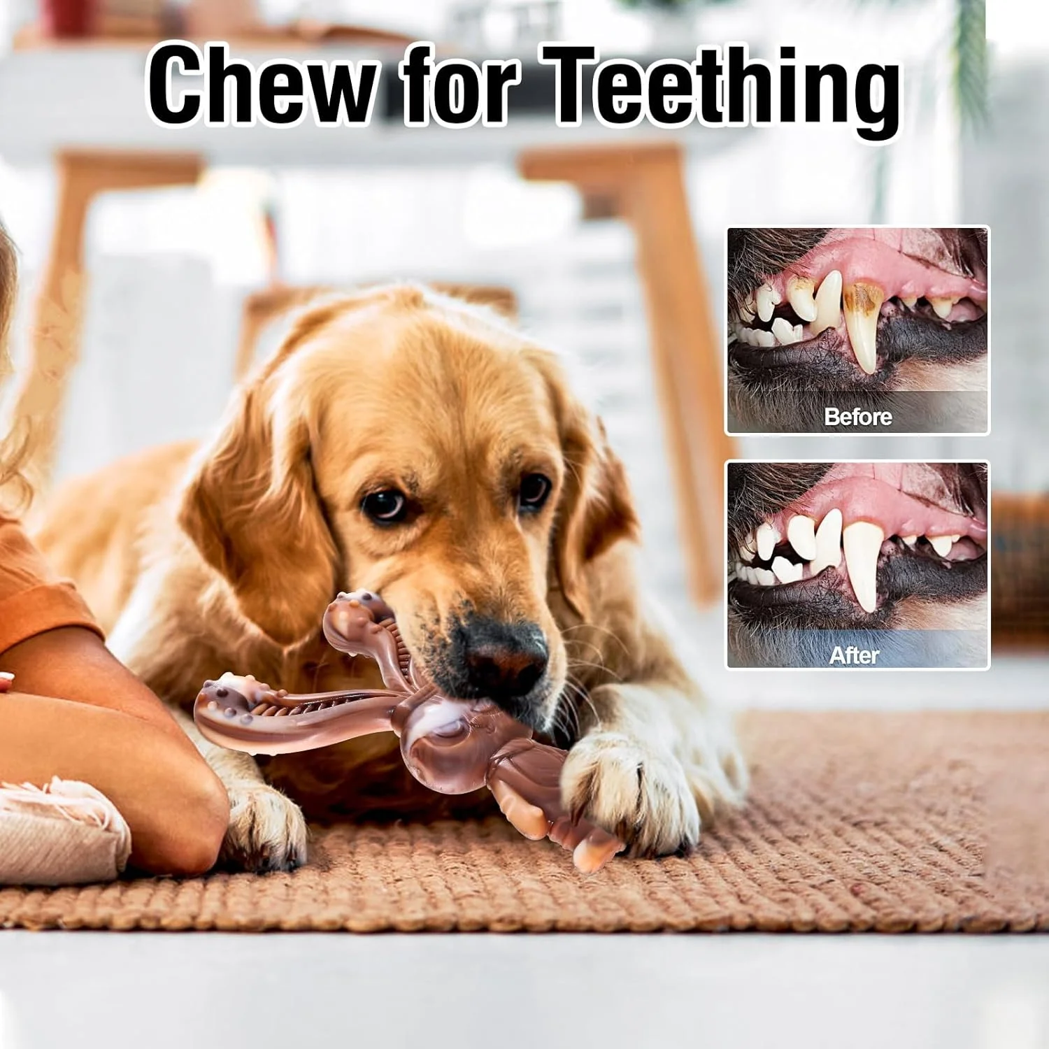 اسباب بازی جویدنی سگ مونلیدا 2 عددی برای جویدن تهاجمی، اسباب بازی جویدنی سگ با طعم گوشت گاو به شکل خرگوش غیرقابل تخریب، اسباب بازی های پولیشی خرگوش جیر جیر کننده، عالی برای سگ های کوچک، متوسط و بزرگ اسباب بازی جویدنی سگ مونلیدا 2 عددی برای جویدن تهاجمی، اسباب بازی جویدنی سگ با طعم گوشت گاو به شکل خرگوش غیرقابل تخریب، اسباب بازی های پولیشی خرگوش جیر جیر کننده، عالی برای سگ های کوچک، متوسط و بزرگ