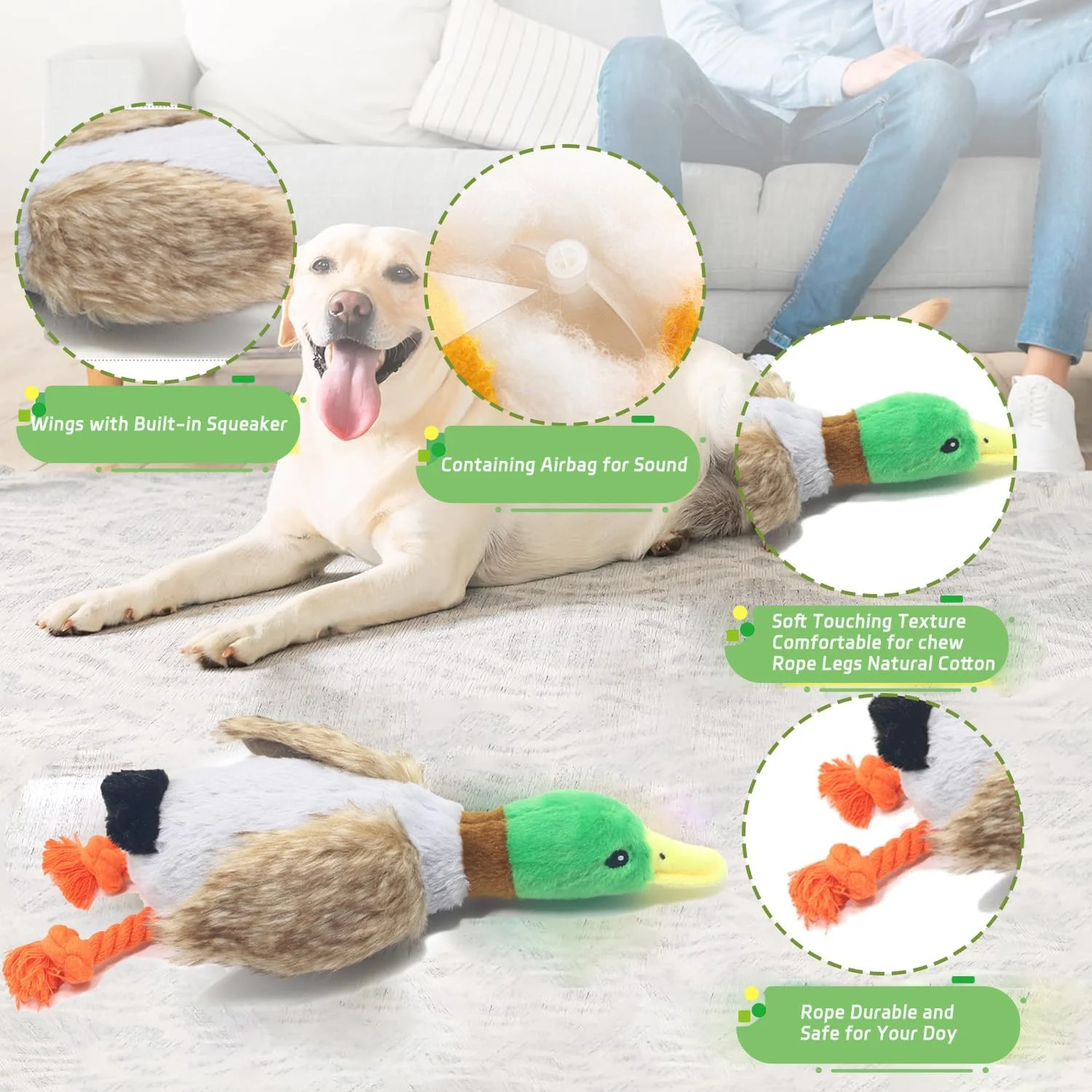 اسباب بازی سگ ماسرو، 2 عدد اسباب بازی جویدنی سگ اردک برای جویدن تهاجمی، اسباب بازی توله سگ با کاغذ چروک و صدای جیر جیر، اسباب بازی تعاملی طناب کشی برای نژادهای کوچک، متوسط و بزرگ اسباب بازی سگ ماسرو، 2 عدد اسباب بازی جویدنی سگ اردک برای جویدن تهاجمی، اسباب بازی توله سگ با کاغذ چروک و صدای جیر جیر، اسباب بازی تعاملی طناب کشی برای نژادهای کوچک، متوسط و بزرگ