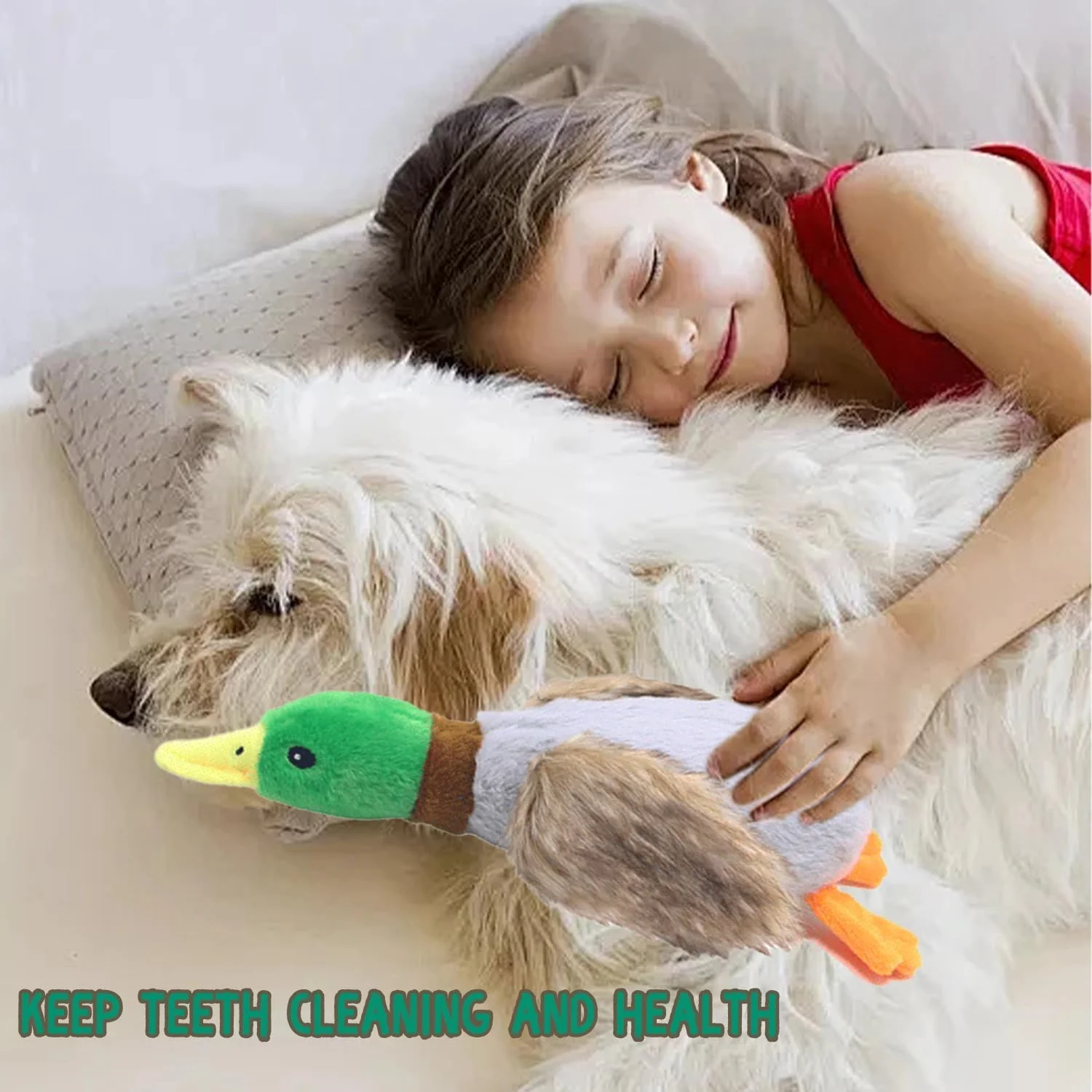 اسباب بازی سگ ماسرو، 2 عدد اسباب بازی جویدنی سگ اردک برای جویدن تهاجمی، اسباب بازی توله سگ با کاغذ چروک و صدای جیر جیر، اسباب بازی تعاملی طناب کشی برای نژادهای کوچک، متوسط و بزرگ اسباب بازی سگ ماسرو، 2 عدد اسباب بازی جویدنی سگ اردک برای جویدن تهاجمی، اسباب بازی توله سگ با کاغذ چروک و صدای جیر جیر، اسباب بازی تعاملی طناب کشی برای نژادهای کوچک، متوسط و بزرگ