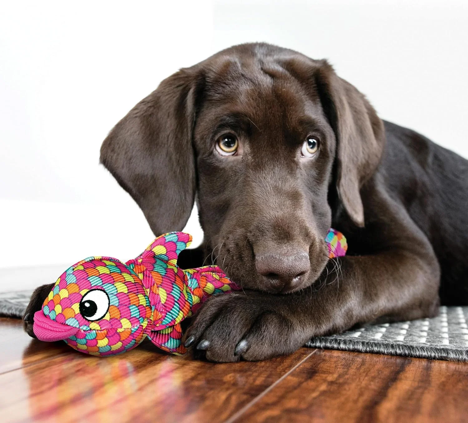 اسباب بازی سگ Kong Wubba Finz آبی. بزرگ