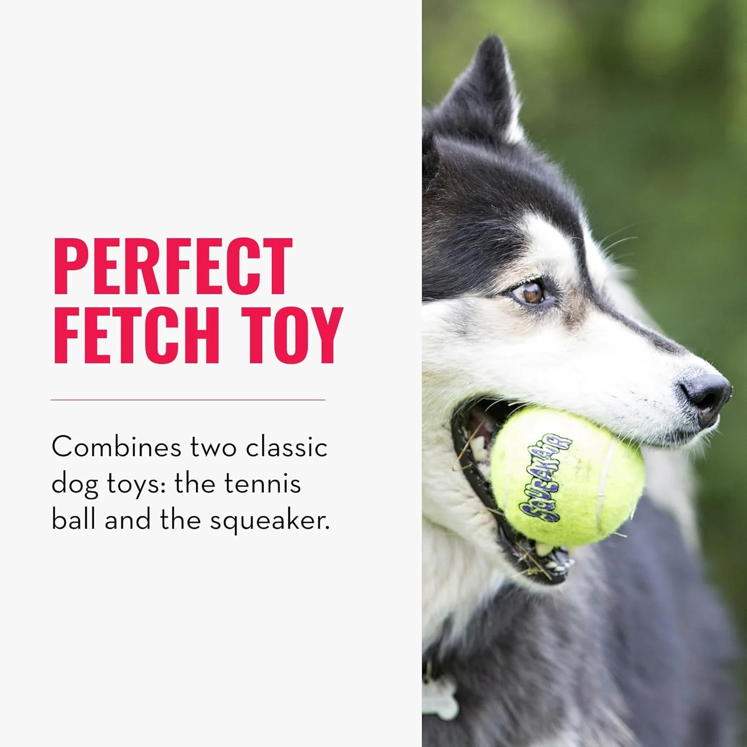 توپ های صدادار KONG مدل Squeakair - توپ های تنیس صدادار ممتاز، ملایم بر روی دندان - مناسب برای سگ های متوسط (بسته 3 عددی)