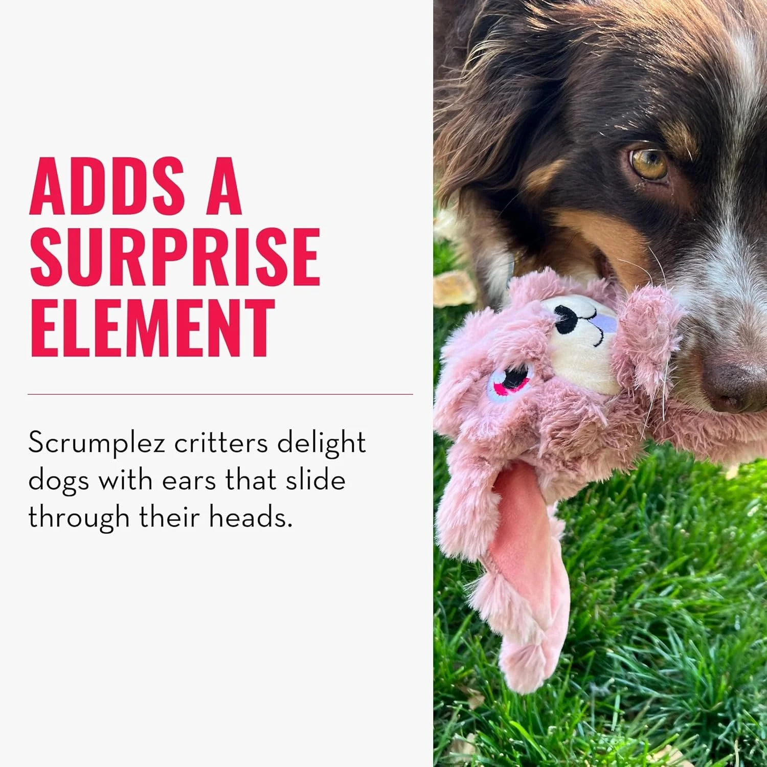 اسباب بازی سگ کانگ مدل Scrumplez، خرگوش سایز متوسط اسباب بازی سگ کانگ مدل Scrumplez، خرگوش سایز متوسط