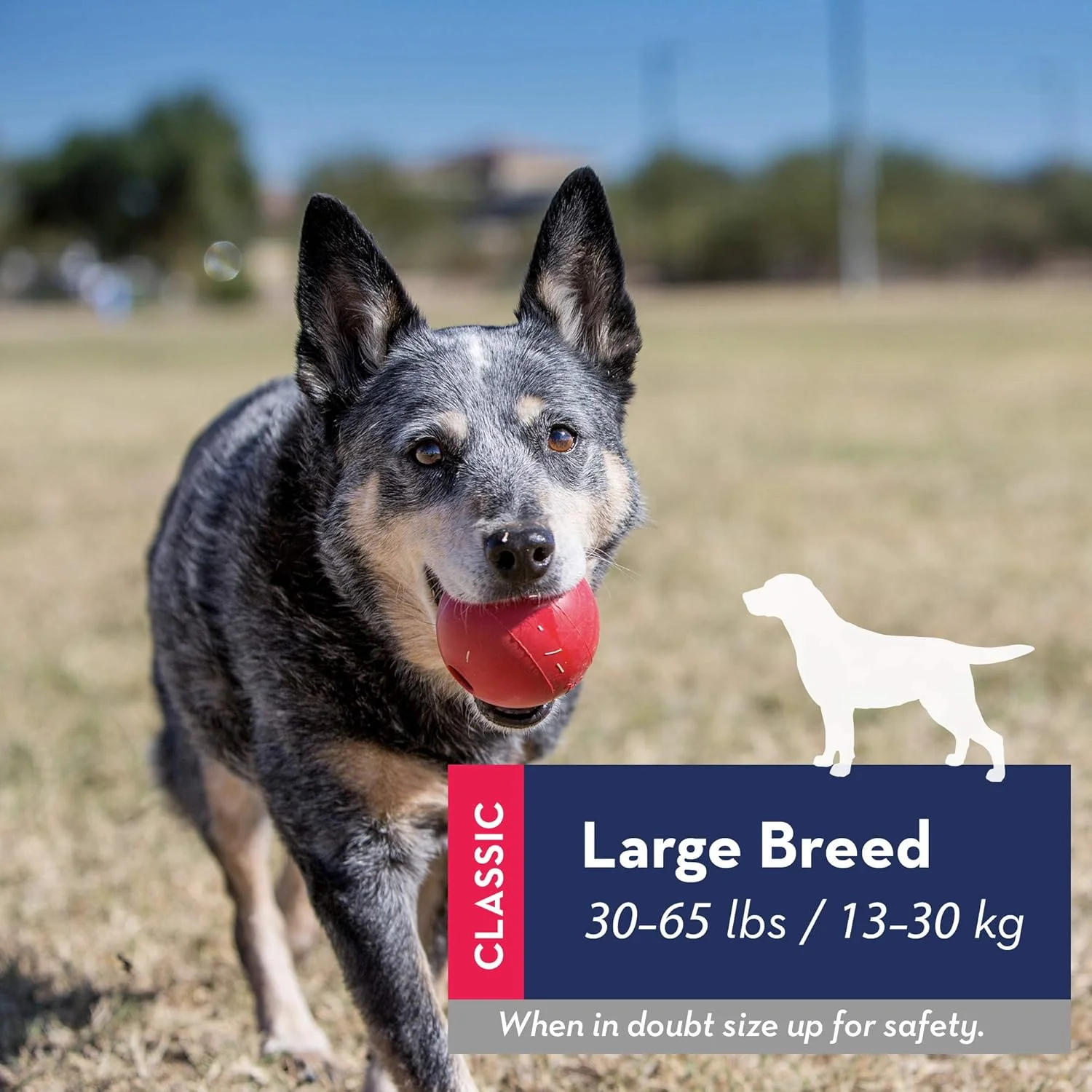 توپ بزرگ کنگ مدل 269088 توپ بزرگ کنگ مدل 269088