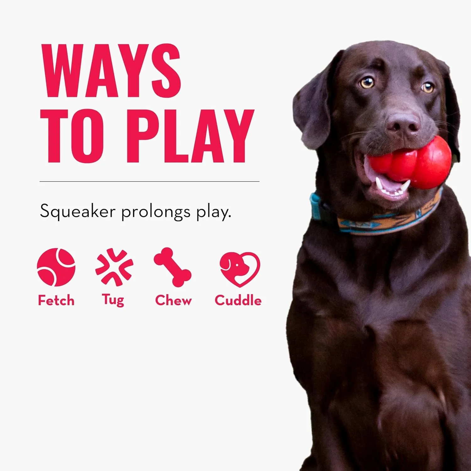 اسباب بازی سگ کانگ مدل Scrumplez، خرگوش سایز متوسط اسباب بازی سگ کانگ مدل Scrumplez، خرگوش سایز متوسط