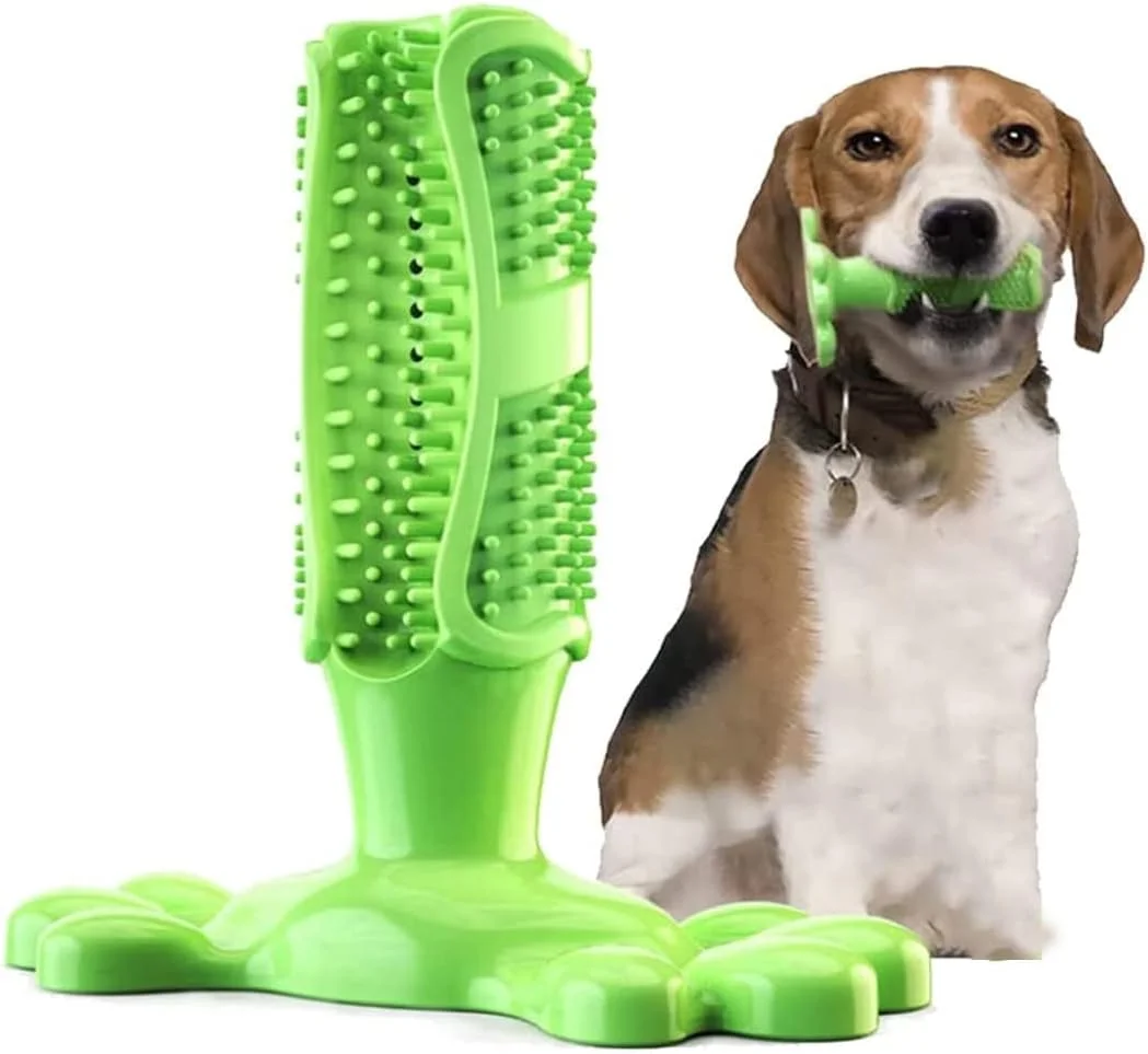 اسباب بازی جویدنی مسواک سگ خزنا، چوب تمیز کننده دندان سگ از جنس لاستیک طبیعی، سبز اسباب بازی جویدنی مسواک سگ خزنا، چوب تمیز کننده دندان سگ از جنس لاستیک طبیعی، سبز