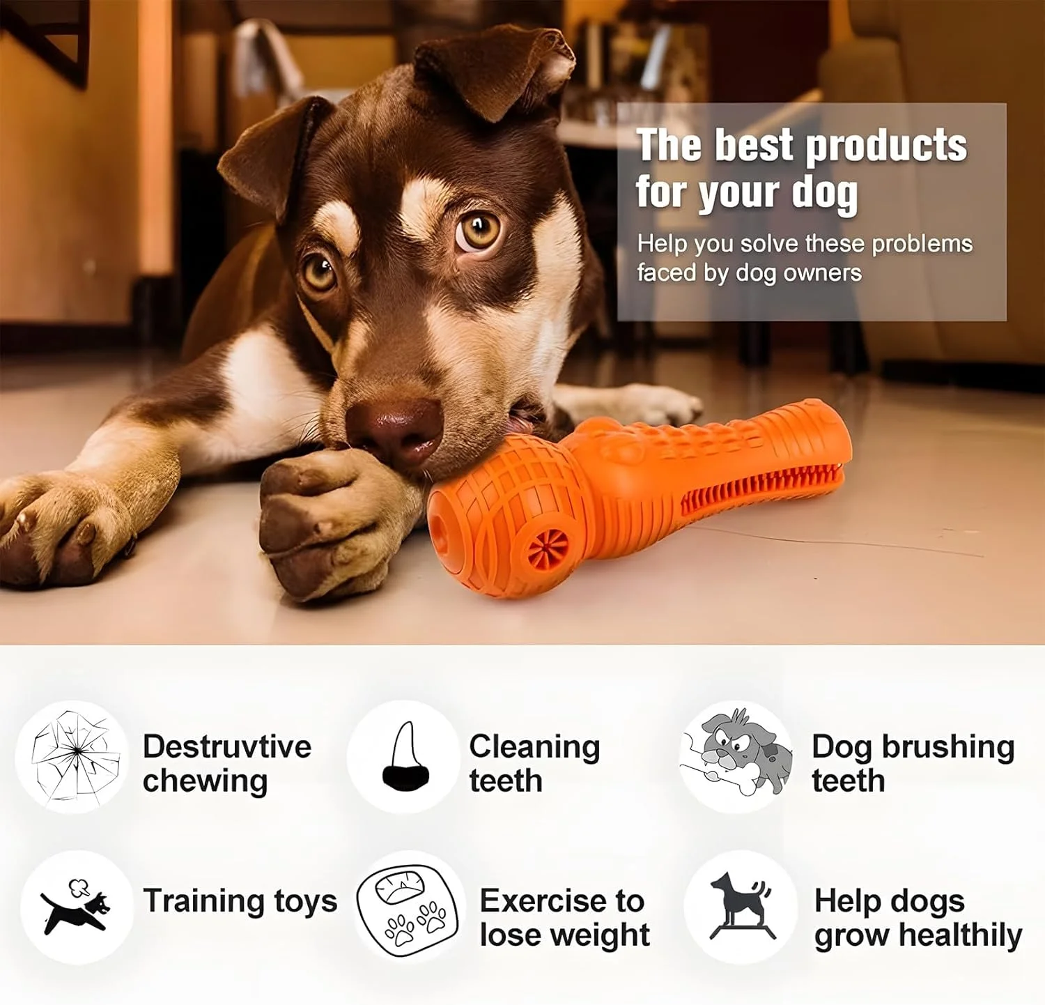 اسباب بازی جویدنی سگ Joyzzz، چوب آسیاب دندان کروکودیل شبیه سازی شده از جنس لاستیک طبیعی، اسباب بازی جویدنی تعاملی و مقاوم برای سگ ها، اسباب بازی مسواک سگ، اسباب بازی گاز گرفتن سگ برای سگ های کوچک تا متوسط اسباب بازی جویدنی سگ Joyzzz، چوب آسیاب دندان کروکودیل شبیه سازی شده از جنس لاستیک طبیعی، اسباب بازی جویدنی تعاملی و مقاوم برای سگ ها، اسباب بازی مسواک سگ، اسباب بازی گاز گرفتن سگ برای سگ های کوچک تا متوسط