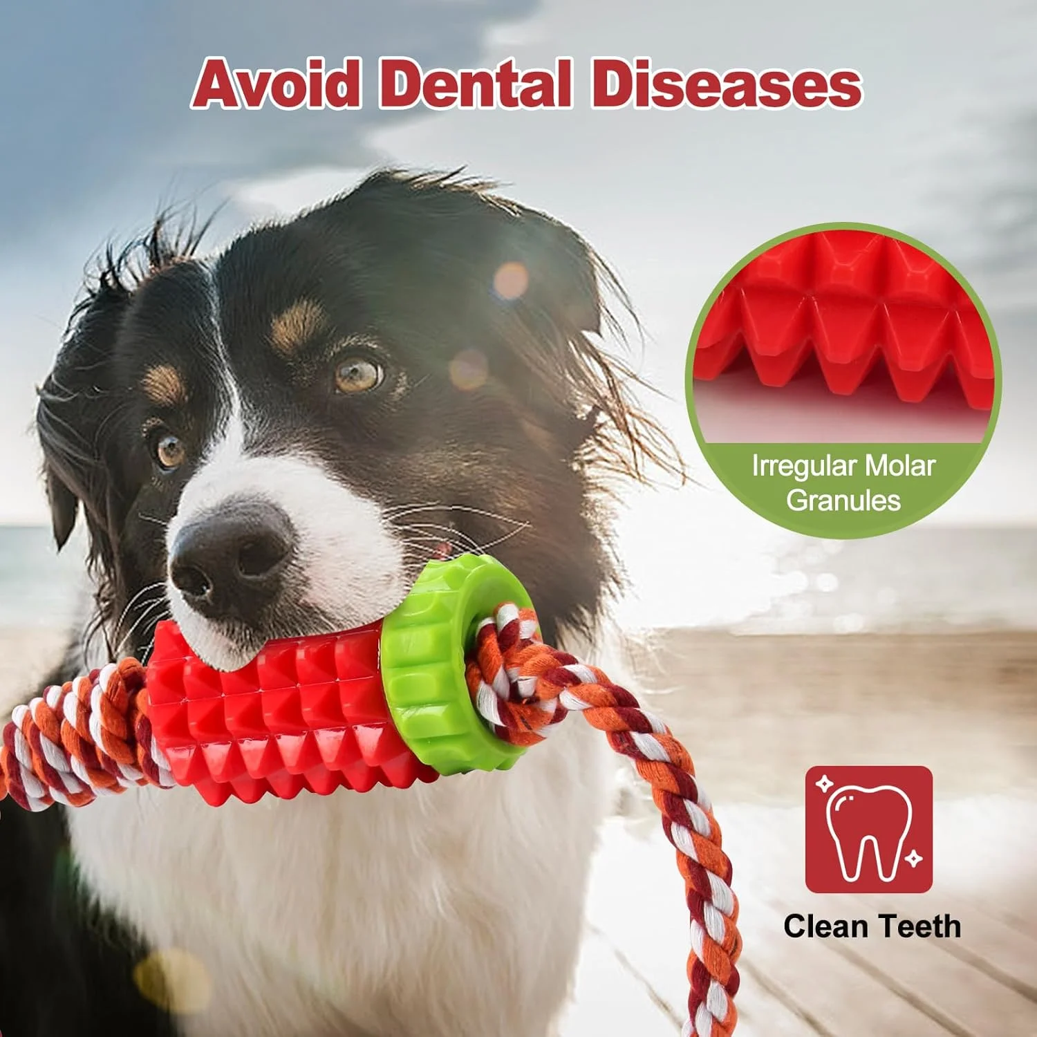 اسباب بازی جویدنی سگ Joyfia با طناب برای جویدن تهاجمی، پخش کننده تشویقی، اسباب بازی تمیز کننده دندان سگ برای نژادهای کوچک، متوسط و بزرگ، اسباب بازی کششی تعاملی سگ برای سگ های پرانرژی، اسباب بازی دندان آسیاب توله سگ اسباب بازی جویدنی سگ Joyfia با طناب برای جویدن تهاجمی، پخش کننده تشویقی، اسباب بازی تمیز کننده دندان سگ برای نژادهای کوچک، متوسط و بزرگ، اسباب بازی کششی تعاملی سگ برای سگ های پرانرژی، اسباب بازی دندان آسیاب توله سگ