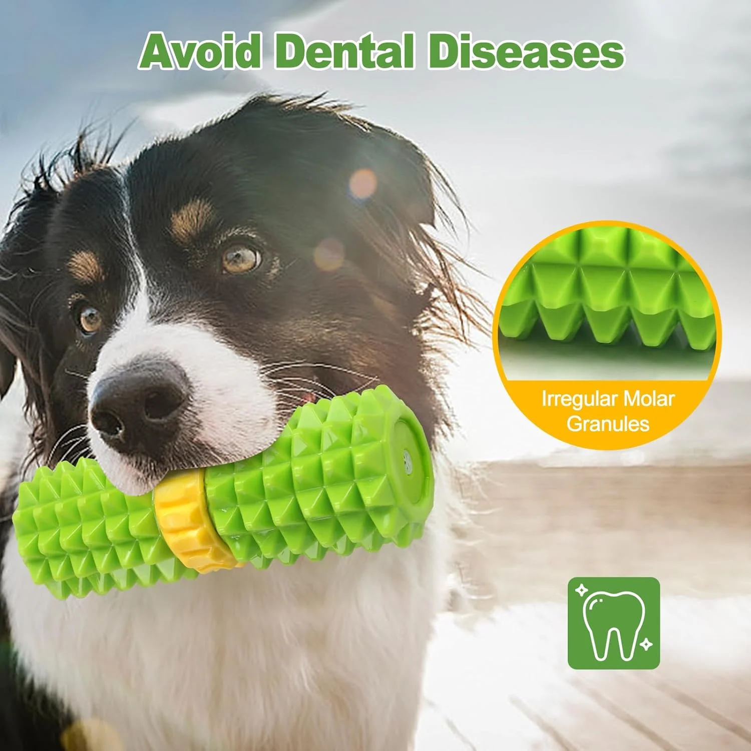 اسباب بازی سگ جیرجیردار Joyfia، سرگرم کننده برای جویدن و آوردن، اسباب بازی جویدنی تعاملی سگ برای مشغول نگه داشتن آنها، از بین بردن خستگی و غنی سازی برای نژادهای کوچک، متوسط و بزرگ، اسباب بازی مسواک لاستیکی برای تمیز کردن دندان سگ اسباب بازی سگ جیرجیردار Joyfia، سرگرم کننده برای جویدن و آوردن، اسباب بازی جویدنی تعاملی سگ برای مشغول نگه داشتن آنها، از بین بردن خستگی و غنی سازی برای نژادهای کوچک، متوسط و بزرگ، اسباب بازی مسواک لاستیکی برای تمیز کردن دندان سگ