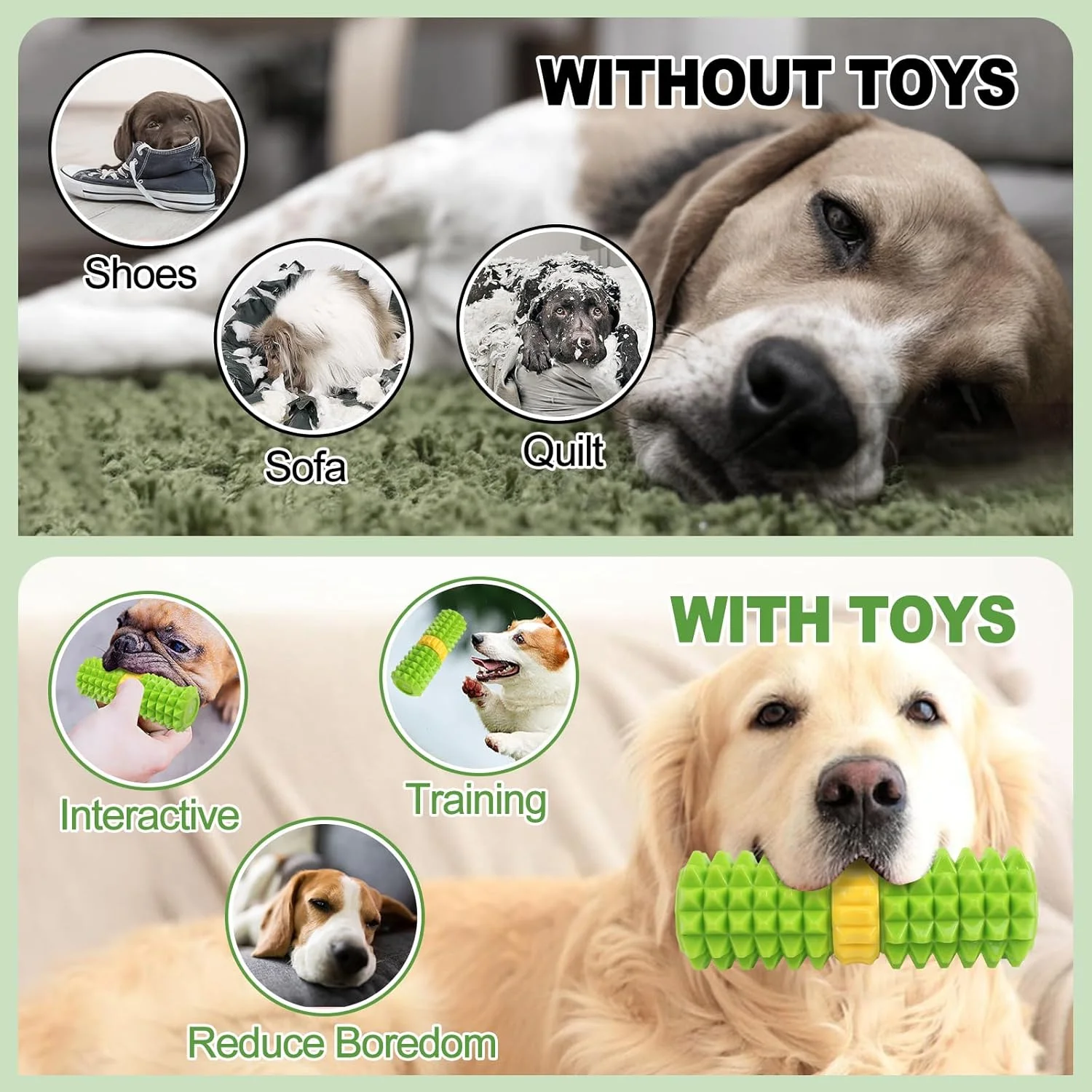 اسباب بازی سگ جیرجیردار Joyfia، سرگرم کننده برای جویدن و آوردن، اسباب بازی جویدنی تعاملی سگ برای مشغول نگه داشتن آنها، از بین بردن خستگی و غنی سازی برای نژادهای کوچک، متوسط و بزرگ، اسباب بازی مسواک لاستیکی برای تمیز کردن دندان سگ اسباب بازی سگ جیرجیردار Joyfia، سرگرم کننده برای جویدن و آوردن، اسباب بازی جویدنی تعاملی سگ برای مشغول نگه داشتن آنها، از بین بردن خستگی و غنی سازی برای نژادهای کوچک، متوسط و بزرگ، اسباب بازی مسواک لاستیکی برای تمیز کردن دندان سگ