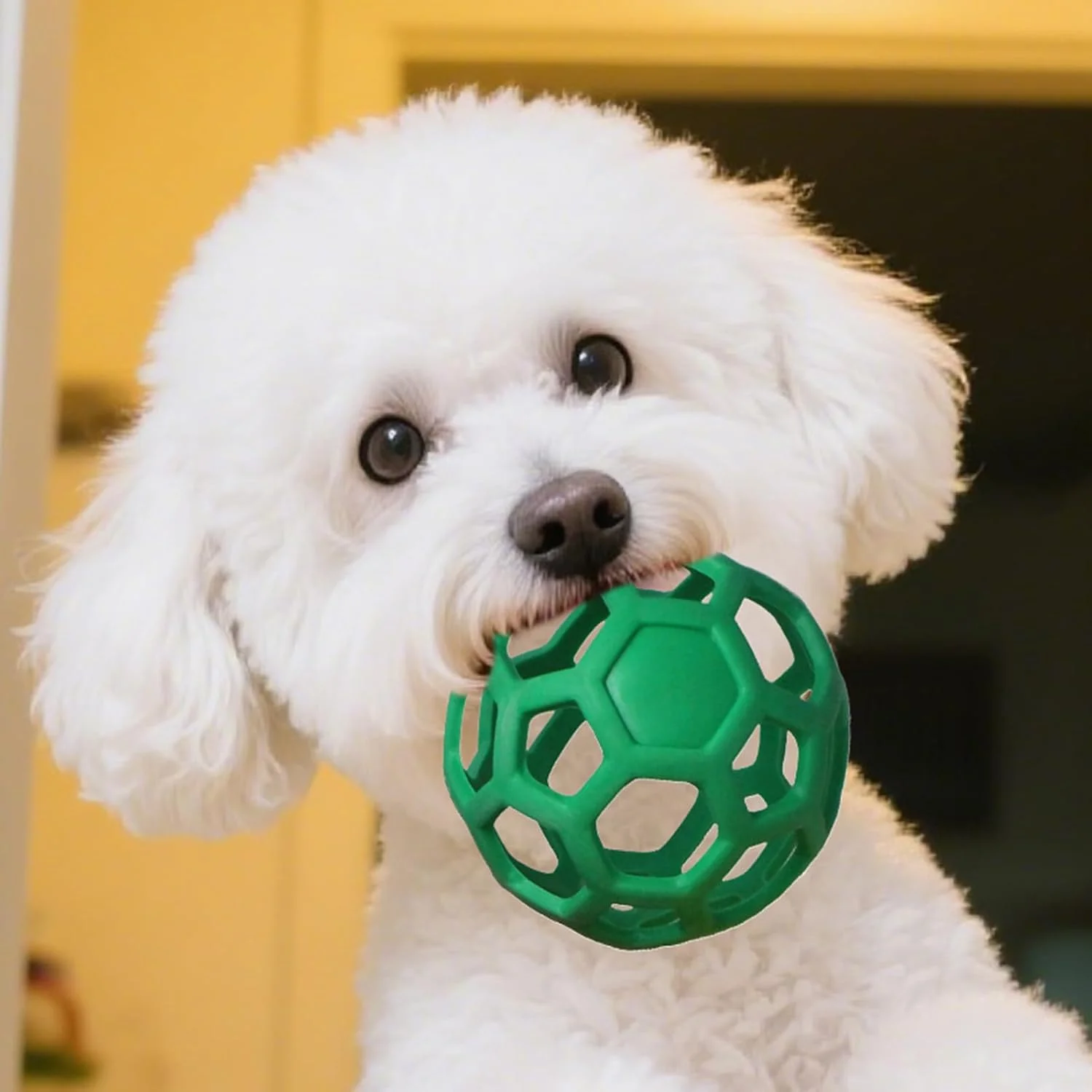 توپ بازی حیوانات خانگی، توپ پازلی اسباب بازی سگ، بازی لاستیکی تعاملی با پرش بالا برای دندان درآوردن، جویدن، بازی کردن، آوردن، آموزش در فضای باز، سرگرمی در فضای داخلی، ورزش توپ بازی حیوانات خانگی، توپ پازلی اسباب بازی سگ، بازی لاستیکی تعاملی با پرش بالا برای دندان درآوردن، جویدن، بازی کردن، آوردن، آموزش در فضای باز، سرگرمی در فضای داخلی، ورزش