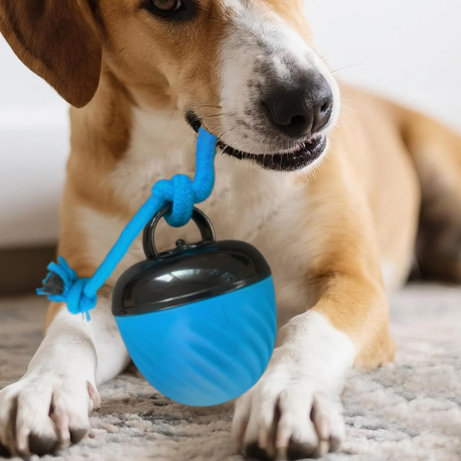 توپ بازی تعاملی سگ | توپ غلتان حیوانات خانگی، اسباب بازی دندان درآوردن | 3 حالت بازی تعاملی سگ برای کاهش بی حوصلگی، جویدن تهاجمی، آموزش