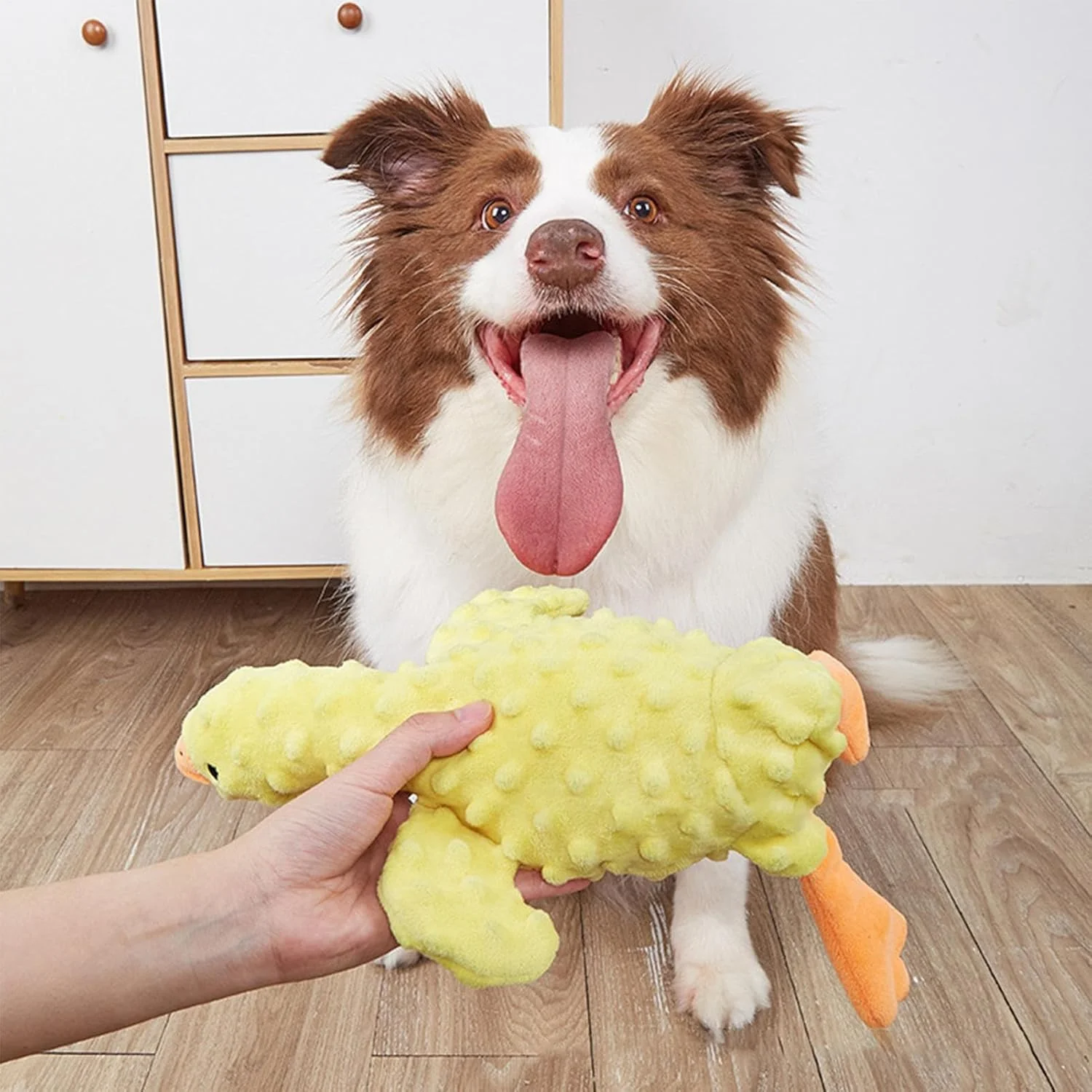 اسباب بازی های پولیشی برای سگ ها، اسباب بازی های جویدنی توله سگ | لوازم تعاملی حیوانات خانگی برای پنهان کردن تشویقی، آموزش شناختی پازل، تمیز کردن دندان ها، دندان درآوردن، نژاد کوچک، متوسط و بزرگ