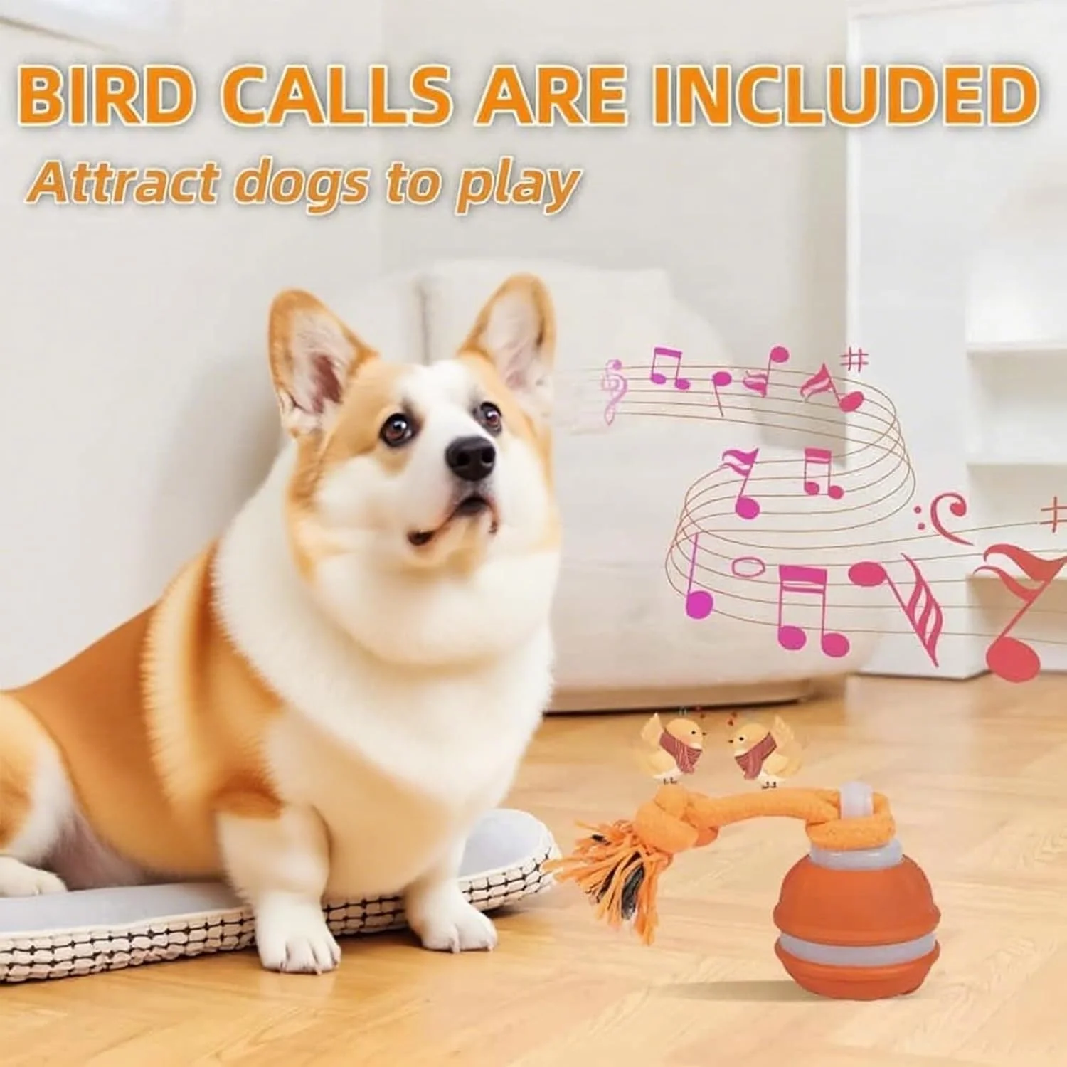 اسباب بازی های تعاملی سگ، توپ هوشمند خودکار با 3 حالت، اسباب بازی های متحرک سگ با صداهای پرنده، توپ غلتکی فعال خودکار برای سگ ها، مناسب برای سگ ها و گربه های کوچک، متوسط ​​و بزرگ