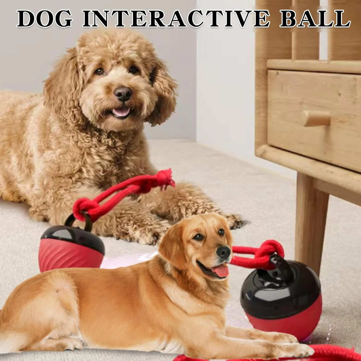 توپ بازی تعاملی سگ، توپ غلتان حیوانات خانگی داخل خانه، توپ خودکار با 3 حالت هوشمند، اسباب بازی متحرک سگ برای رفع خستگی، طراحی بادوام و مقاوم در برابر جویدن، شارژ USB، برای توله سگ/سگ های کوچک/متوسط (قرمز)