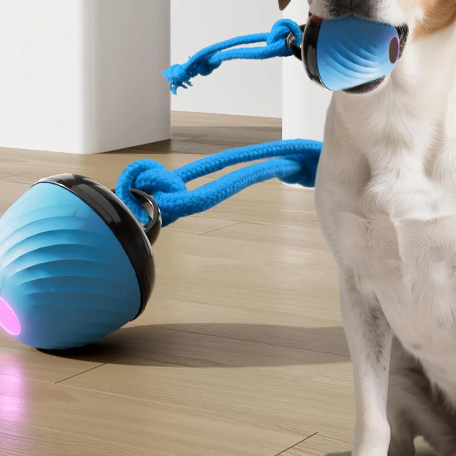 توپ بازی تعاملی سگ - توپ غلتکی حیوانات خانگی، اسباب بازی دندان گیر، 3 حالت بازی تعاملی سگ برای کاهش بی حوصلگی، مناسب برای جویدن تهاجمی، آموزش