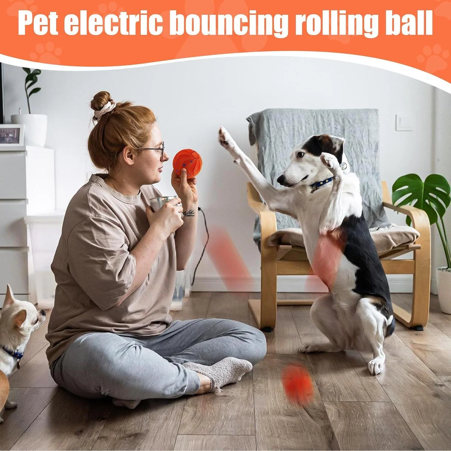 توپ بازی تعاملی سگ - اسباب بازی برقی متحرک و غلتان سگ | توپ اسباب بازی حیوانات خانگی جهنده اتوماتیک قابل شارژ USB برای باغ، درب ورودی، پاسیو، گاراژ، پارک، چمن، حیاط خلوت توپ بازی تعاملی سگ - اسباب بازی برقی متحرک و غلتان سگ | توپ اسباب بازی حیوانات خانگی جهنده اتوماتیک قابل شارژ USB برای باغ، درب ورودی، پاسیو، گاراژ، پارک، چمن، حیاط خلوت