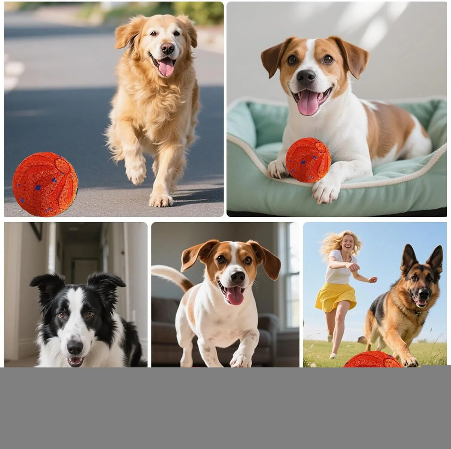 توپ بازی تعاملی سگ - اسباب بازی برقی متحرک و غلتان سگ | توپ اسباب بازی حیوانات خانگی جهنده اتوماتیک قابل شارژ USB برای باغ، درب ورودی، پاسیو، گاراژ، پارک، چمن، حیاط خلوت توپ بازی تعاملی سگ - اسباب بازی برقی متحرک و غلتان سگ | توپ اسباب بازی حیوانات خانگی جهنده اتوماتیک قابل شارژ USB برای باغ، درب ورودی، پاسیو، گاراژ، پارک، چمن، حیاط خلوت