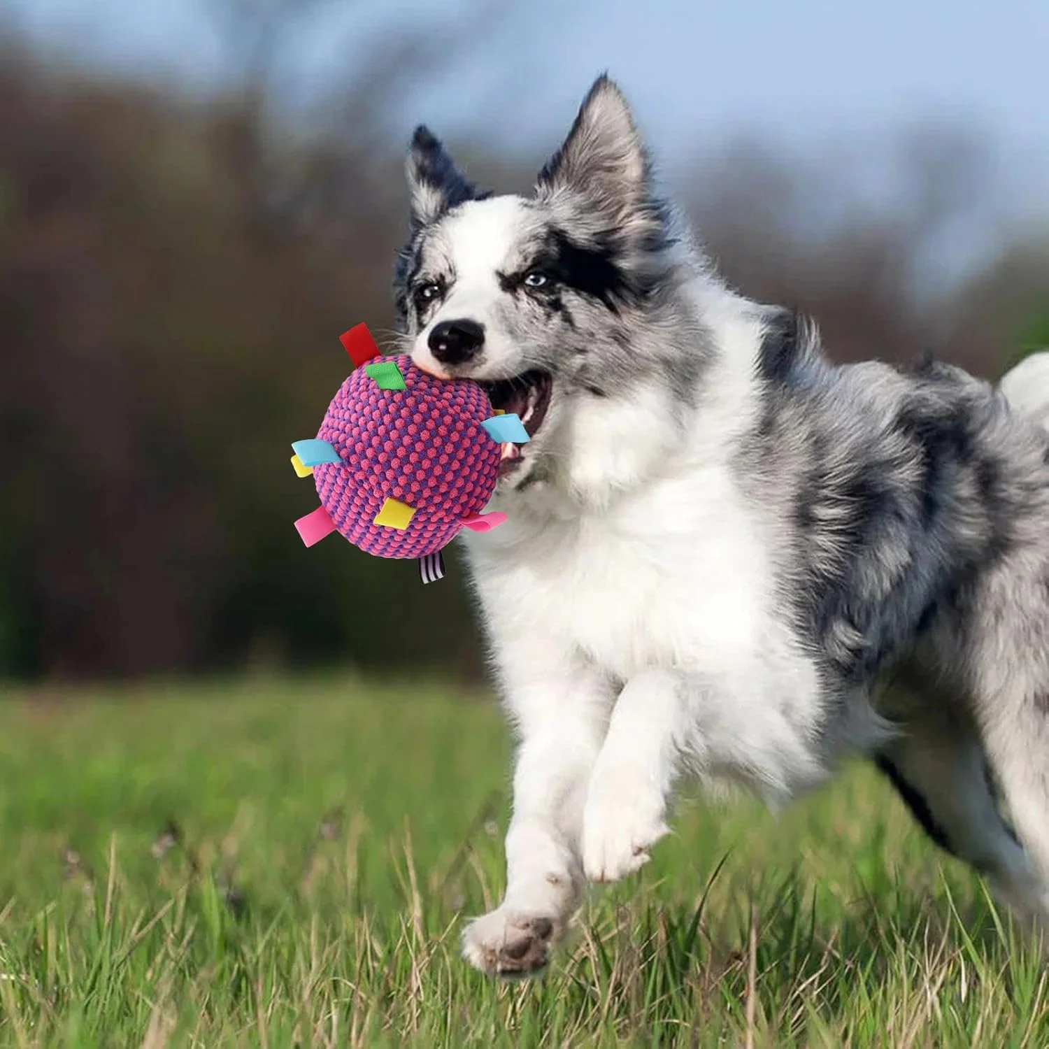 توپ تعاملی برای سگ ها - اسباب بازی توپ غلتان - لوازم حیوانات خانگی نرم و صدادار برای بازی بچه گربه در خانه، فضای باز، آموزش جویدن، بازی توله سگ، بازی گربه های داخل خانه توپ تعاملی برای سگ ها - اسباب بازی توپ غلتان - لوازم حیوانات خانگی نرم و صدادار برای بازی بچه گربه در خانه، فضای باز، آموزش جویدن، بازی توله سگ، بازی گربه های داخل خانه