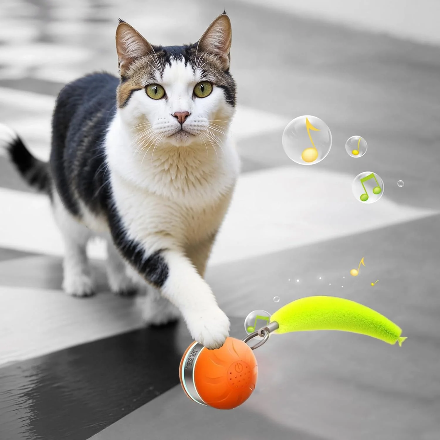 توپ بازی تعاملی سگ | توپ بازی متحرک سگ و گربه، لوازم حیوانات خانگی اتوماتیک با چراغ برای بازی های داخل خانه توله سگ و بچه گربه، تمرین، غنی سازی، آموزش، بازی، رفع خستگی در فضای باز توپ بازی تعاملی سگ | توپ بازی متحرک سگ و گربه، لوازم حیوانات خانگی اتوماتیک با چراغ برای بازی های داخل خانه توله سگ و بچه گربه، تمرین، غنی سازی، آموزش، بازی، رفع خستگی در فضای باز