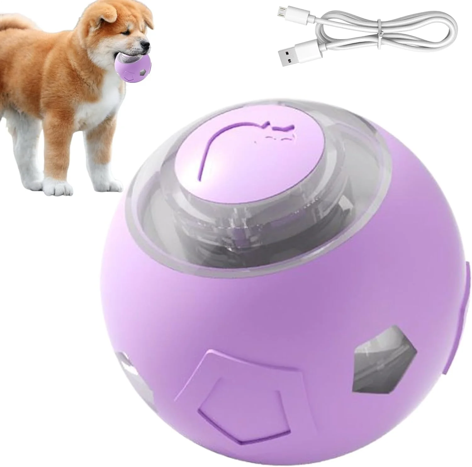 توپ بازی تعاملی سگ، توپ غلتان اتوماتیک سگ و گربه | لوازم حیوانات خانگی بی صدا با چراغ های LED، اسباب بازی های غنی سازی توله سگ و بچه گربه برای گربه های داخل خانه توپ بازی تعاملی سگ، توپ غلتان اتوماتیک سگ و گربه | لوازم حیوانات خانگی بی صدا با چراغ های LED، اسباب بازی های غنی سازی توله سگ و بچه گربه برای گربه های داخل خانه