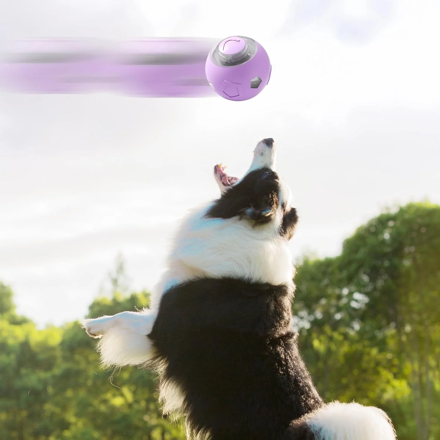 توپ بازی تعاملی سگ، توپ غلتان اتوماتیک سگ و گربه | لوازم حیوانات خانگی بی صدا با چراغ های LED، اسباب بازی های غنی سازی توله سگ و بچه گربه برای گربه های داخل خانه