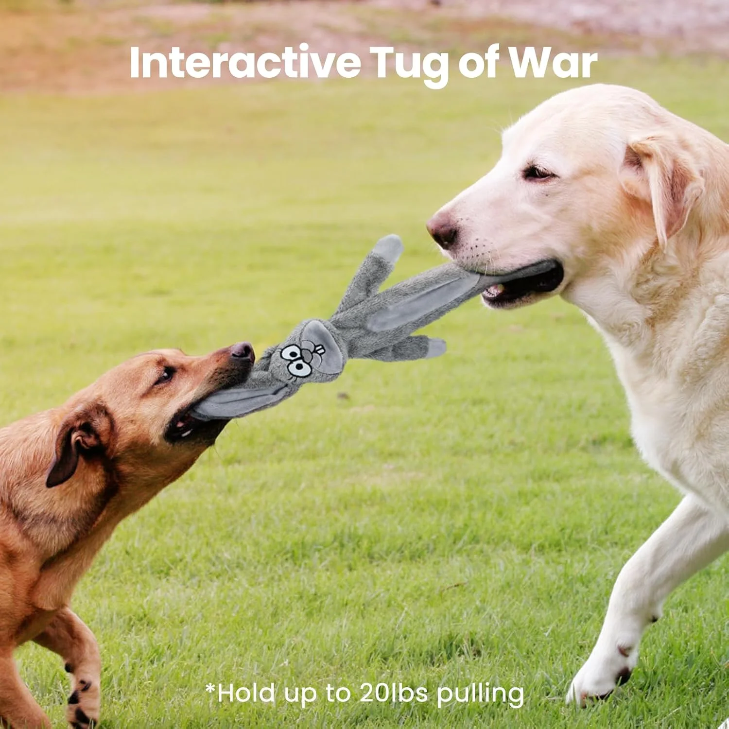 اسباب بازی سگ HGB با صدای جیر جیر، اسباب بازی های بدون الیاف برای جویدن تهاجمی، اسباب بازی های تعاملی سگ برای مشغول نگه داشتن آنها، اسباب بازی های پولیشی سگ برای سگ های بزرگ متوسط کوچک، اسباب بازی های دندانی توله سگ برای رفع بی حوصلگی، 2 عدد اسباب بازی سگ HGB با صدای جیر جیر، اسباب بازی های بدون الیاف برای جویدن تهاجمی، اسباب بازی های تعاملی سگ برای مشغول نگه داشتن آنها، اسباب بازی های پولیشی سگ برای سگ های بزرگ متوسط کوچک، اسباب بازی های دندانی توله سگ برای رفع بی حوصلگی، 2 عدد