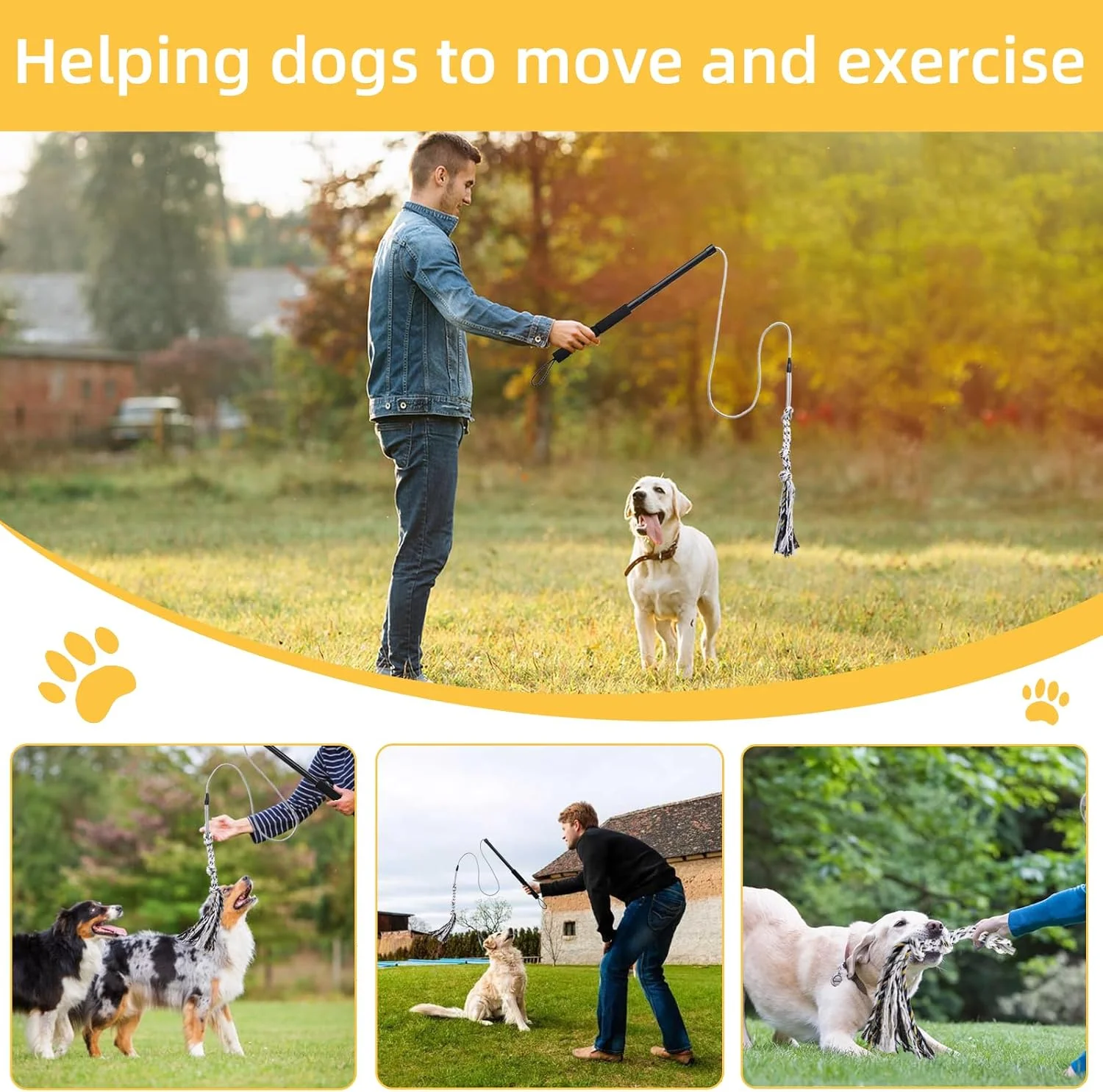 اسباب بازی تعاملی سگ Gingull Flirt Pole - چوب بازی و سرگرمی برای سگ ها، مناسب برای تعقیب و کشیدن، مقاوم و بادوام، اسباب بازی های جویدنی برای دندان درآوردن، مناسب برای سگ های کوچک، متوسط و بزرگ، مشکی اسباب بازی تعاملی سگ Gingull Flirt Pole - چوب بازی و سرگرمی برای سگ ها، مناسب برای تعقیب و کشیدن، مقاوم و بادوام، اسباب بازی های جویدنی برای دندان درآوردن، مناسب برای سگ های کوچک، متوسط و بزرگ، مشکی